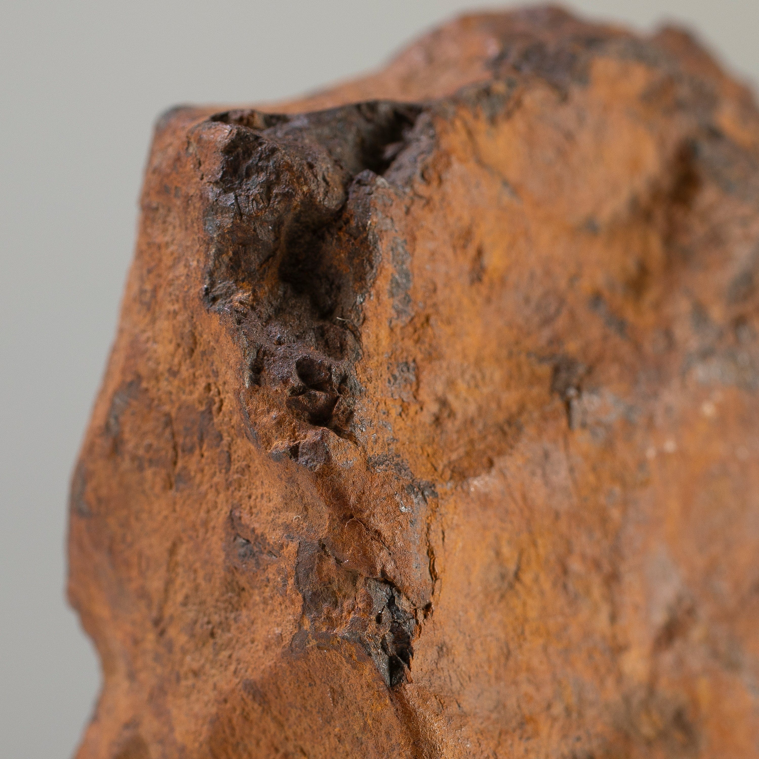 Kalifano Meteorites Markovka (Chondrite) Stony Meteorite from Russia 5.75" / 1,160 grams MTMC20000.001