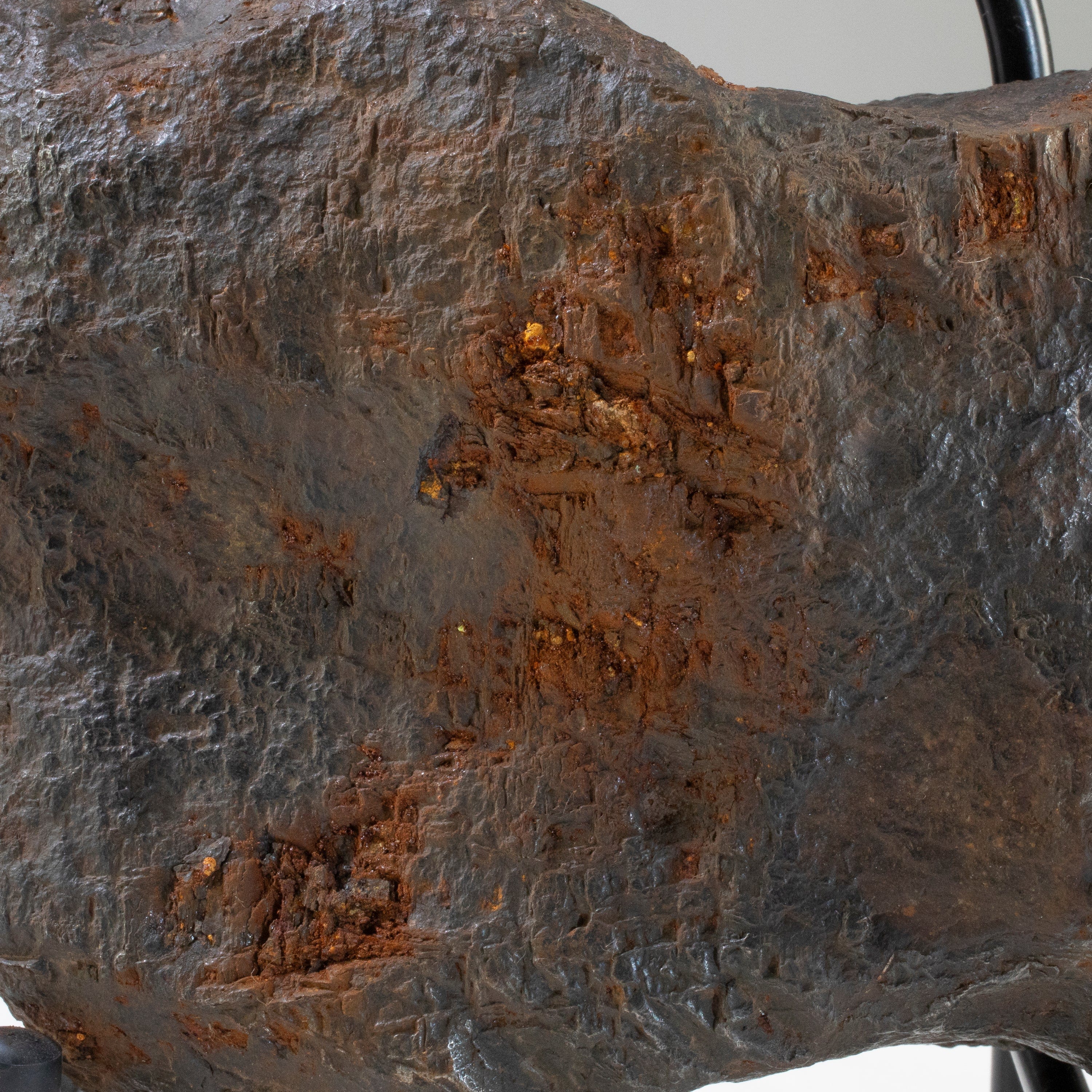 Kalifano Meteorites Muonionalusta Iron Meteorite from Sweden 10.5" / 12,690 grams MTM304000.001