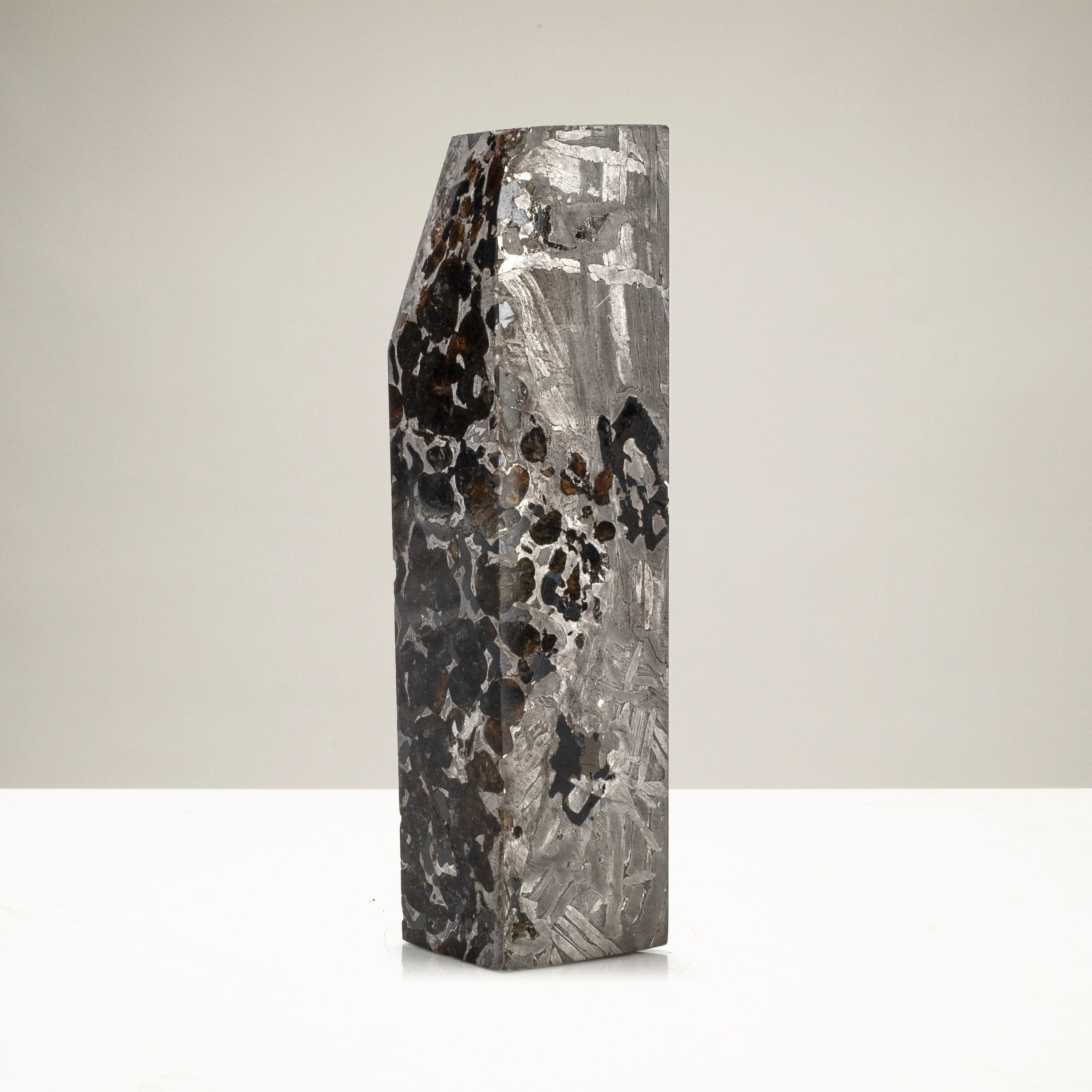 Kalifano Meteorites Natural Seymchan Meteorite from Russia - 480 grams / 5.25” MTS20000.001