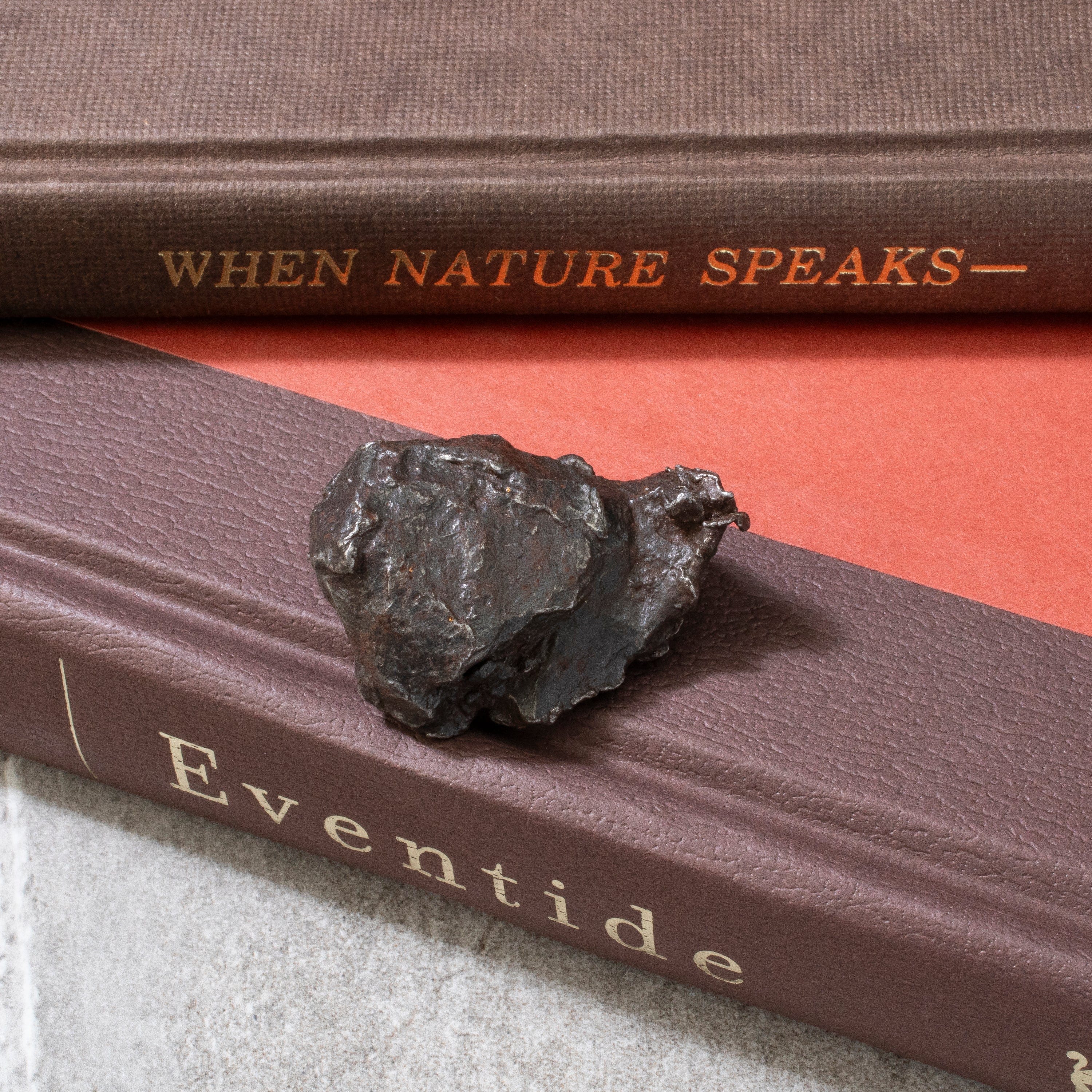 Kalifano Meteorites Natural Sikhote-Alin Meteorite from Russia- 1.6" / 65 grams MTS1500.002