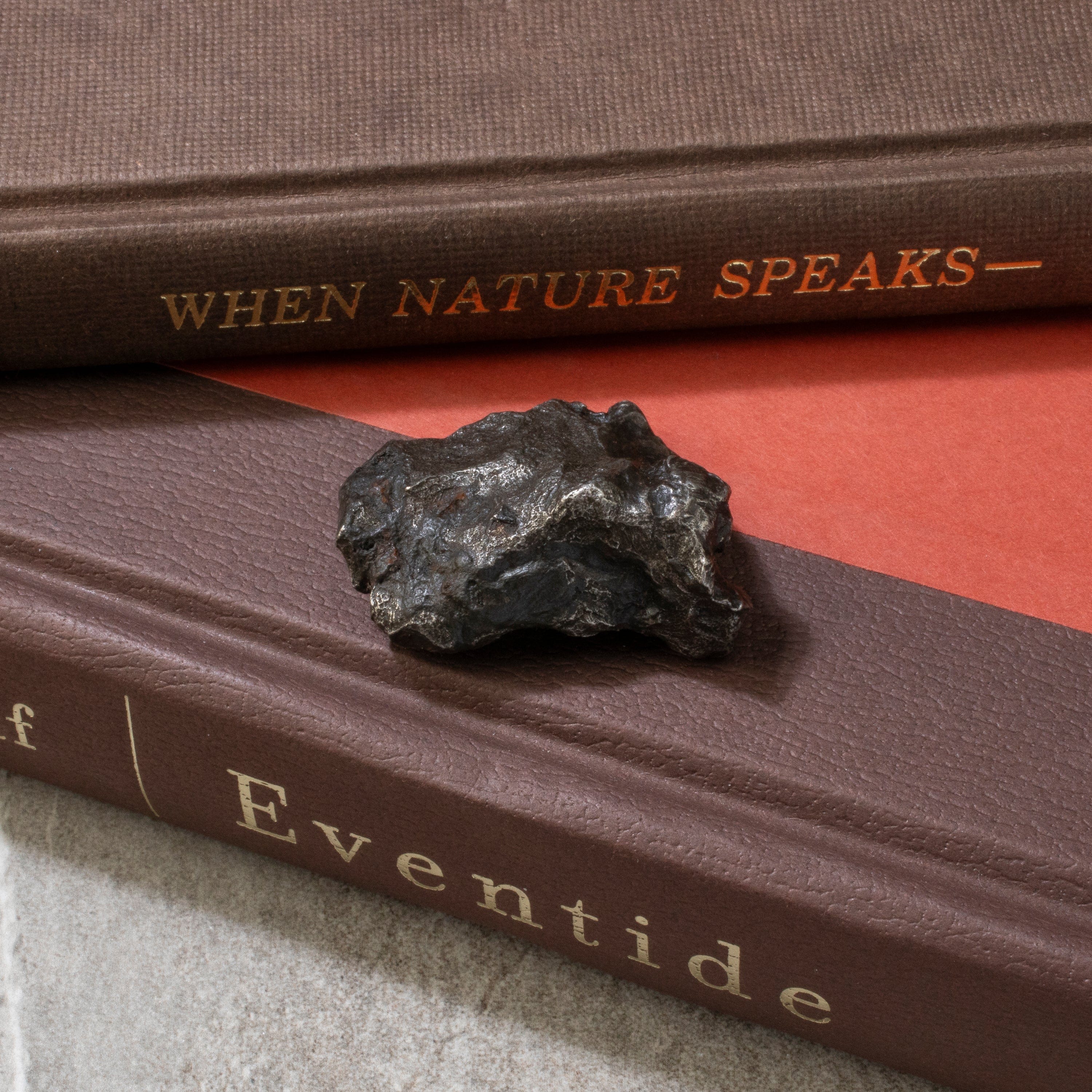 Kalifano Meteorites Natural Sikhote-Alin Meteorite from Russia- 1.7" / 54 grams MTS1200.019