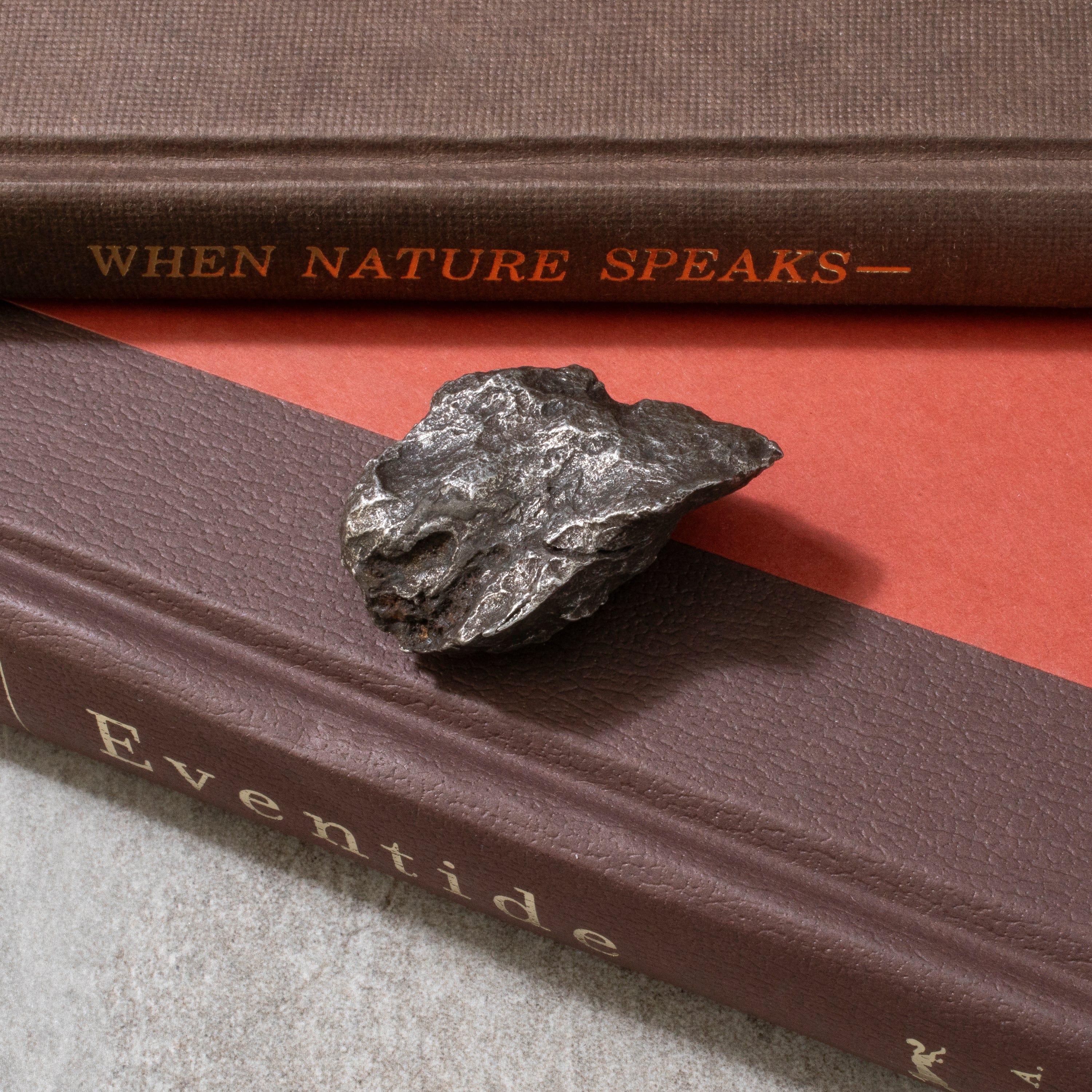 Kalifano Meteorites Natural Sikhote-Alin Meteorite from Russia- 1.8" / 72 grams MTS1600.007
