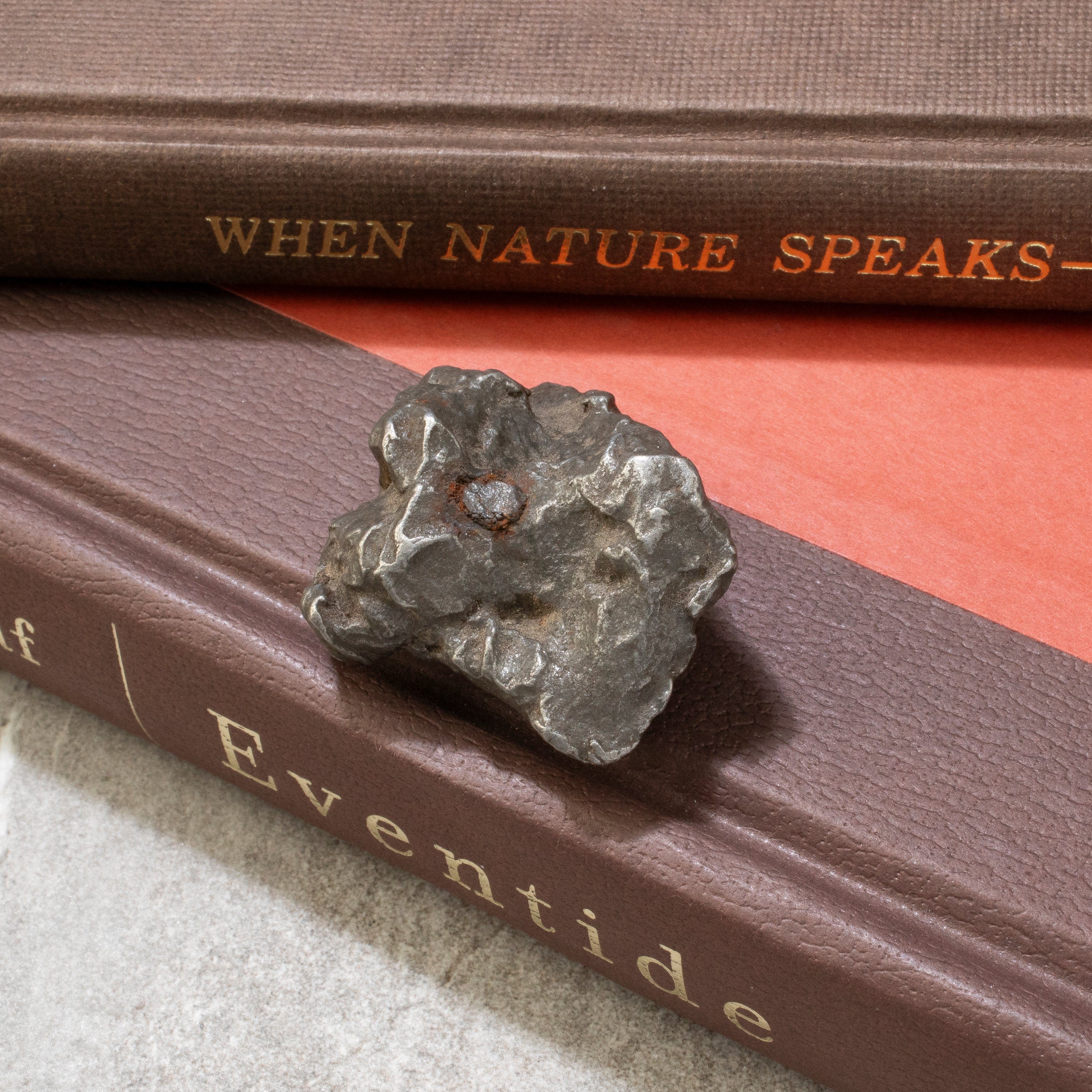 Kalifano Meteorites Natural Sikhote-Alin Meteorite from Russia- 1.8" / 91 grams MTS2000.013