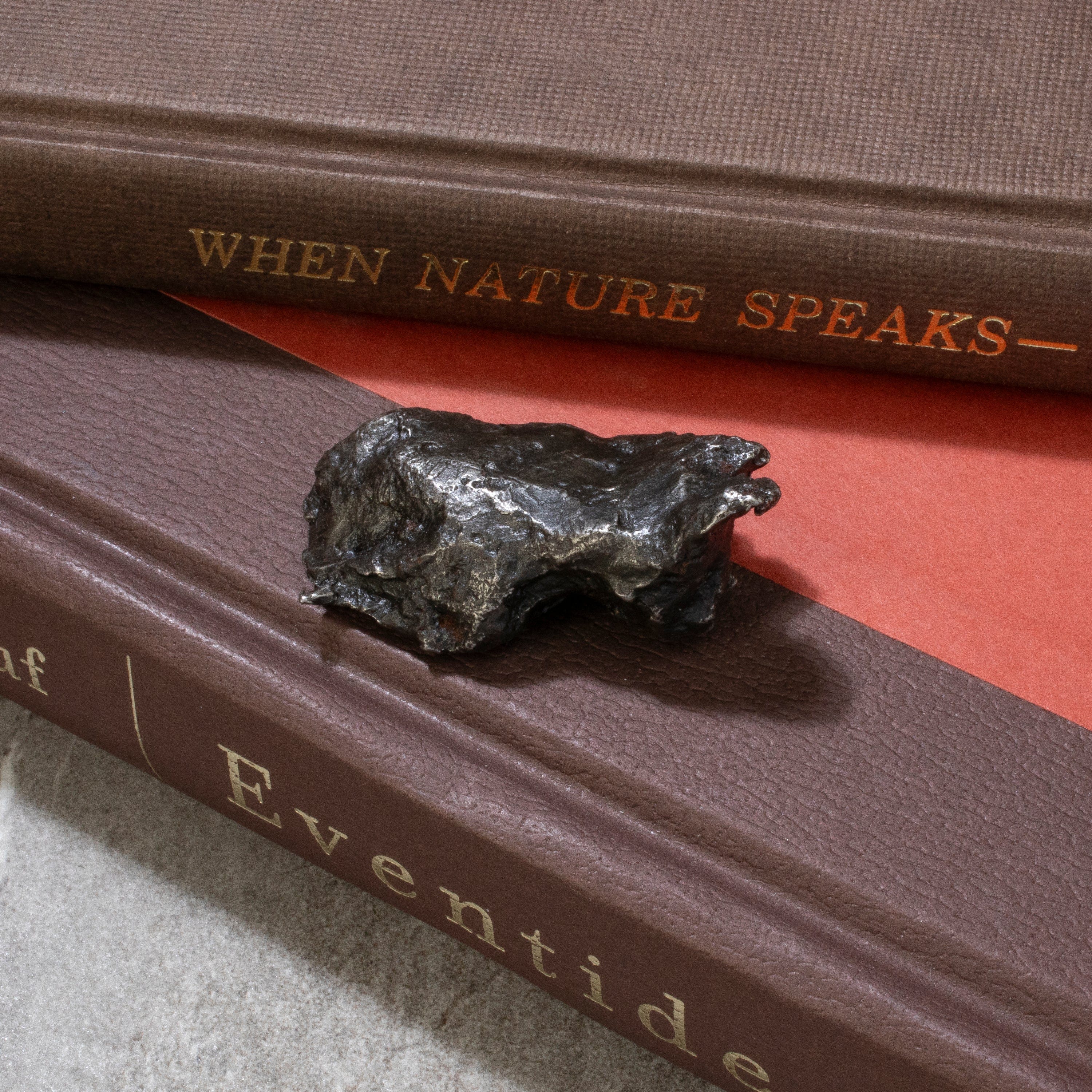 Kalifano Meteorites Natural Sikhote-Alin Meteorite from Russia- 1.9" / 58 grams MTS1300.007