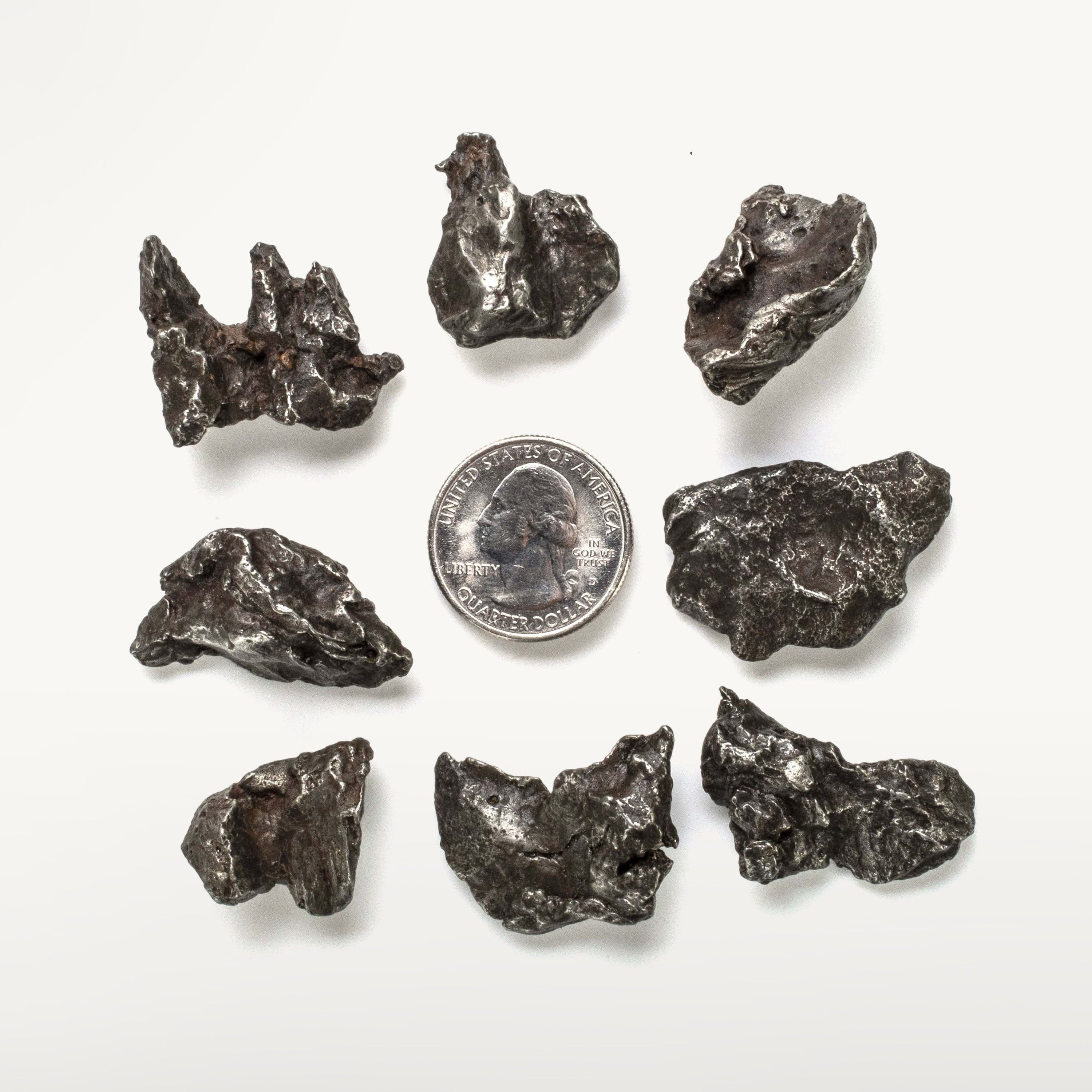 Kalifano Meteorites Natural Sikhote-Alin Meteorite from Russia: 13-16.9 grams MTS300