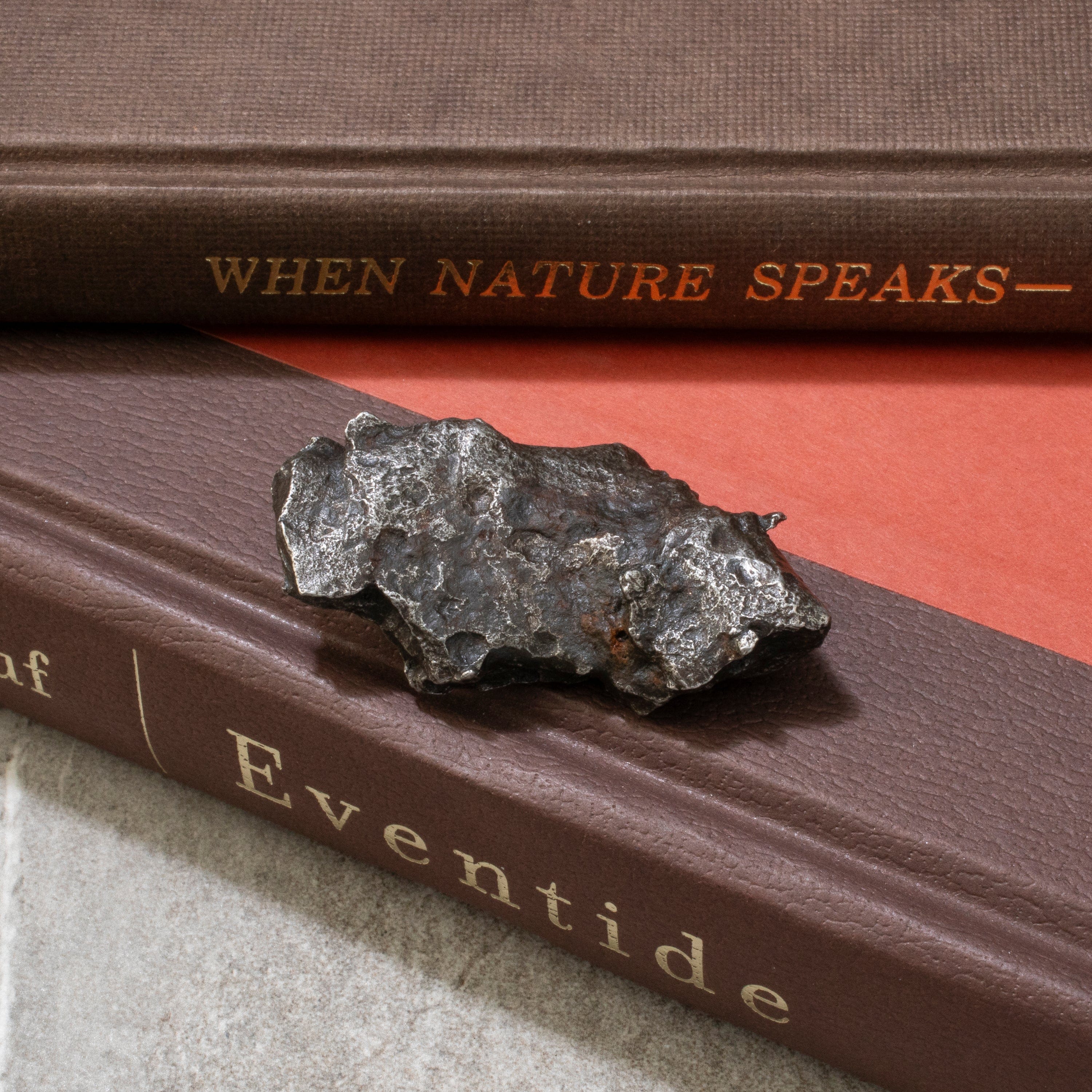 Kalifano Meteorites Natural Sikhote-Alin Meteorite from Russia- 2.2" / 60 grams MTS1400.014