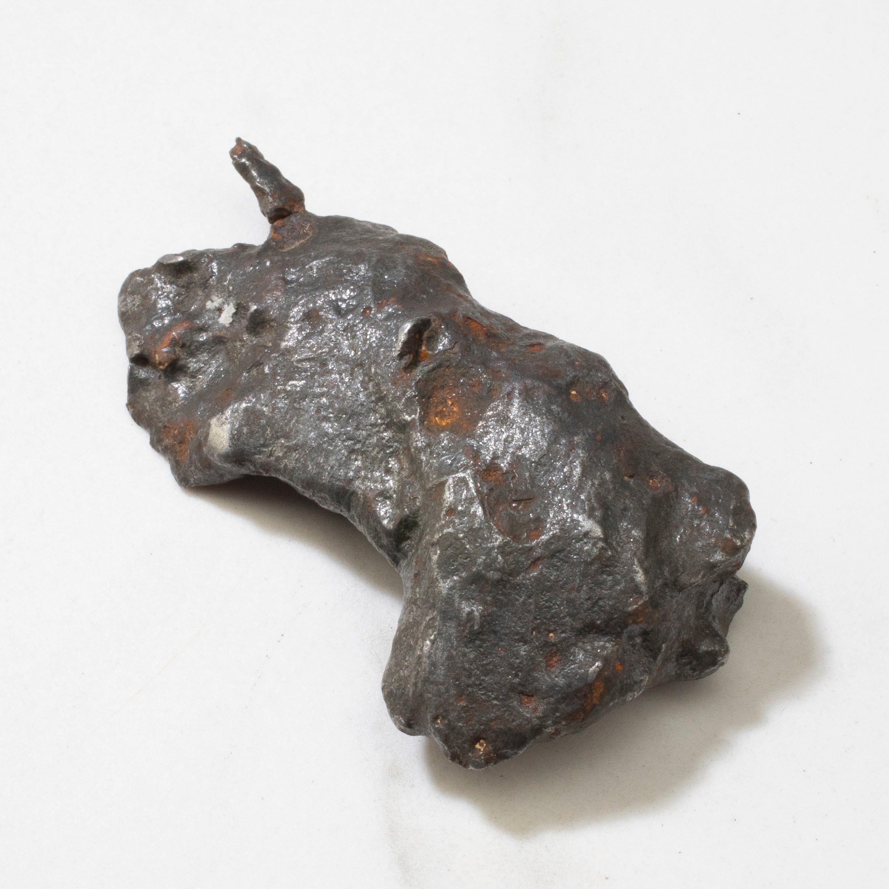 Kalifano Meteorites Natural Sikhote-Alin Meteorite from Russia- 2.5" / 74 grams MTS1700.007