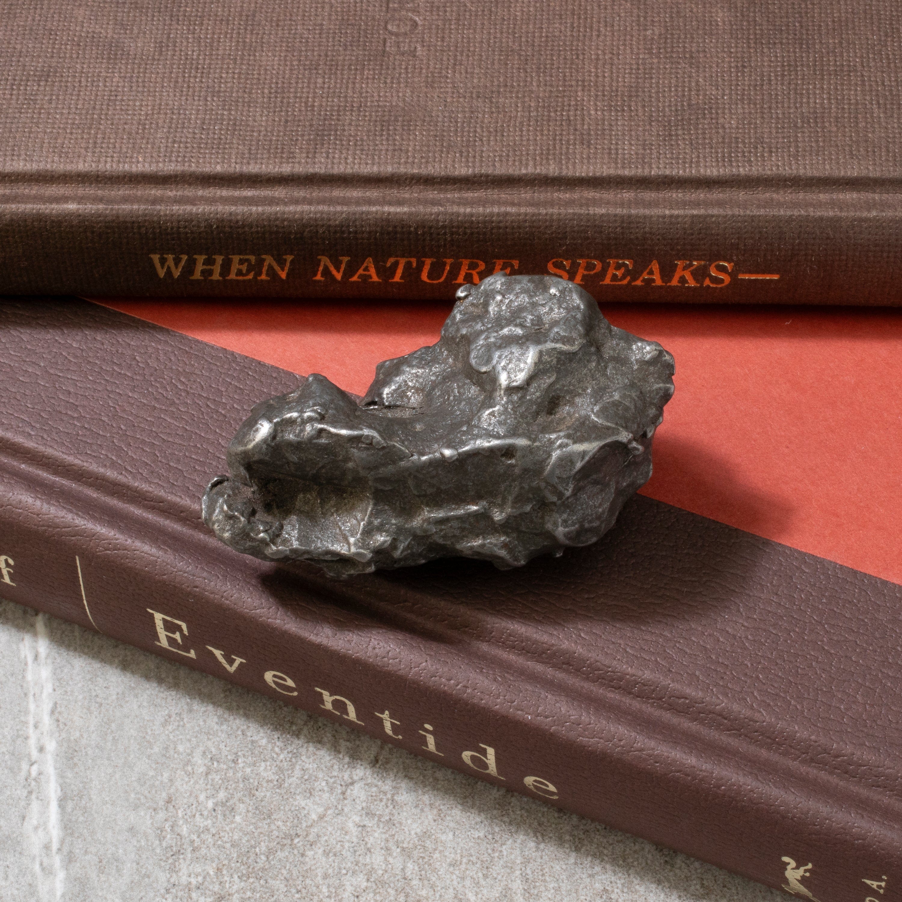 Kalifano Meteorites Natural Sikhote-Alin Meteorite from Russia- 2.6" / 170 grams MTS3800.002