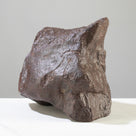 NWA (Chrondrite) Stony Meteorite from Northwest Africa 5
