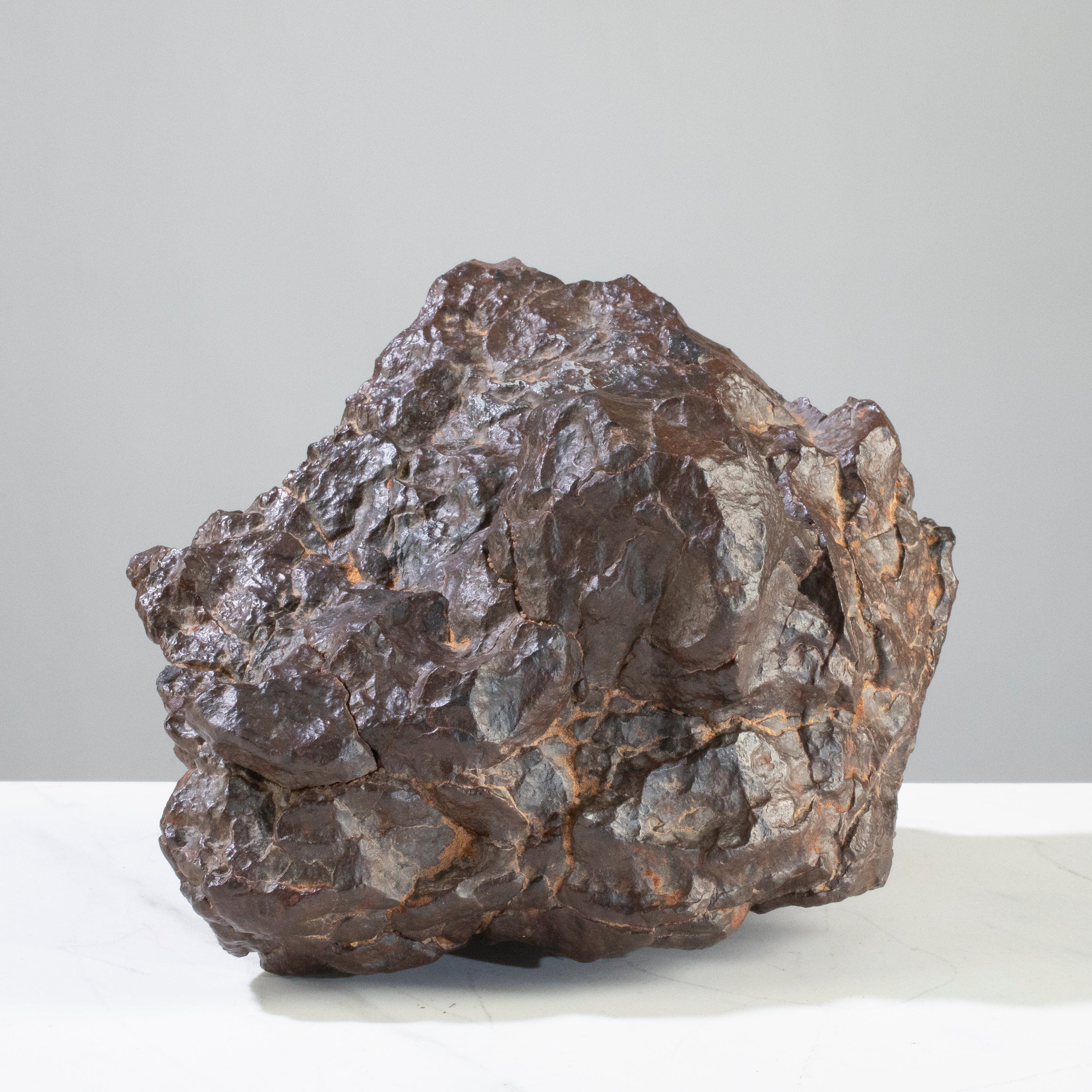 Kalifano Meteorites NWA (Chrondrite) Stony Meteorite from Northwest Africa 6.5" / 3,450 grams MTNWA41600.001