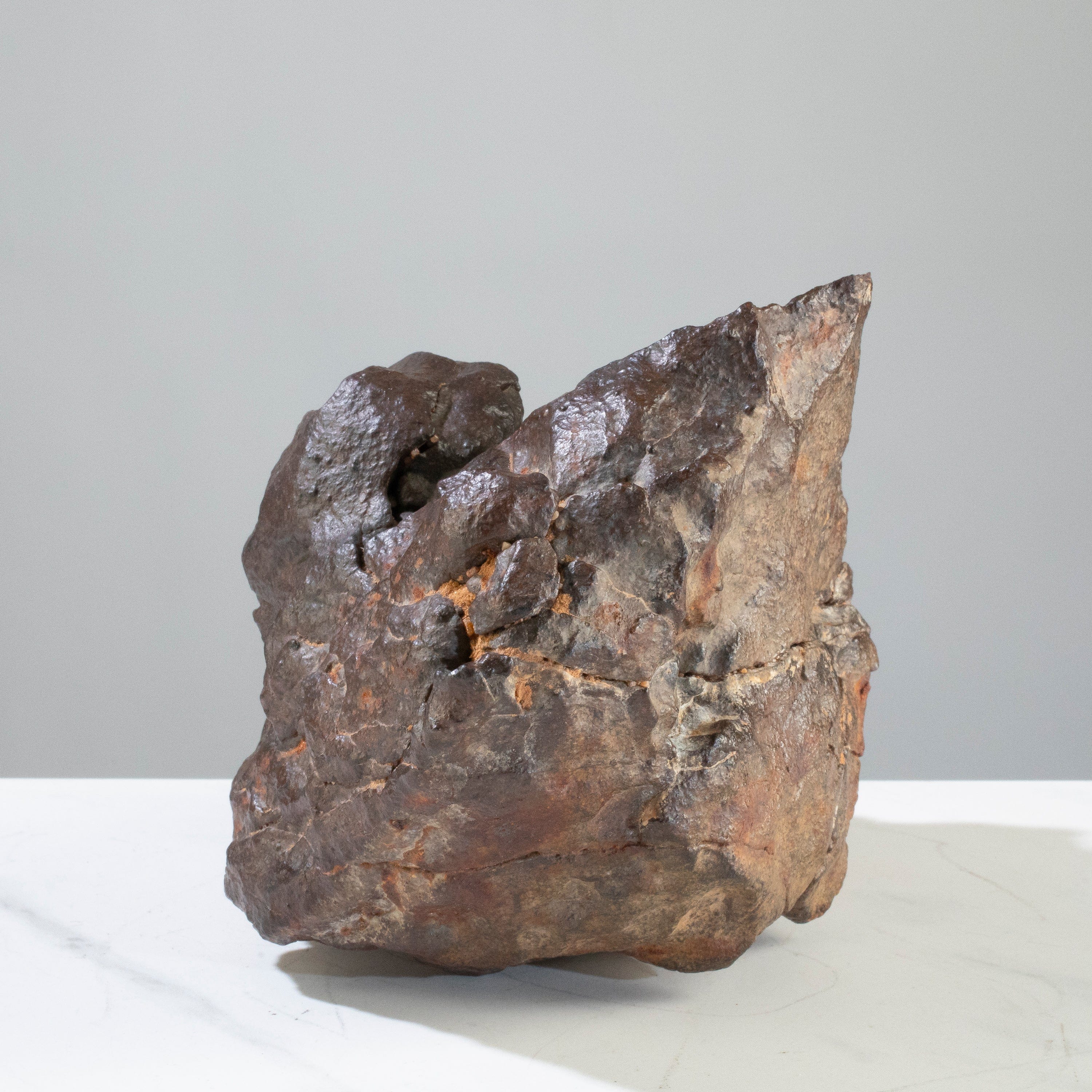 Kalifano Meteorites NWA (Chrondrite) Stony Meteorite from Northwest Africa 6.5" / 3,450 grams MTNWA41600.001