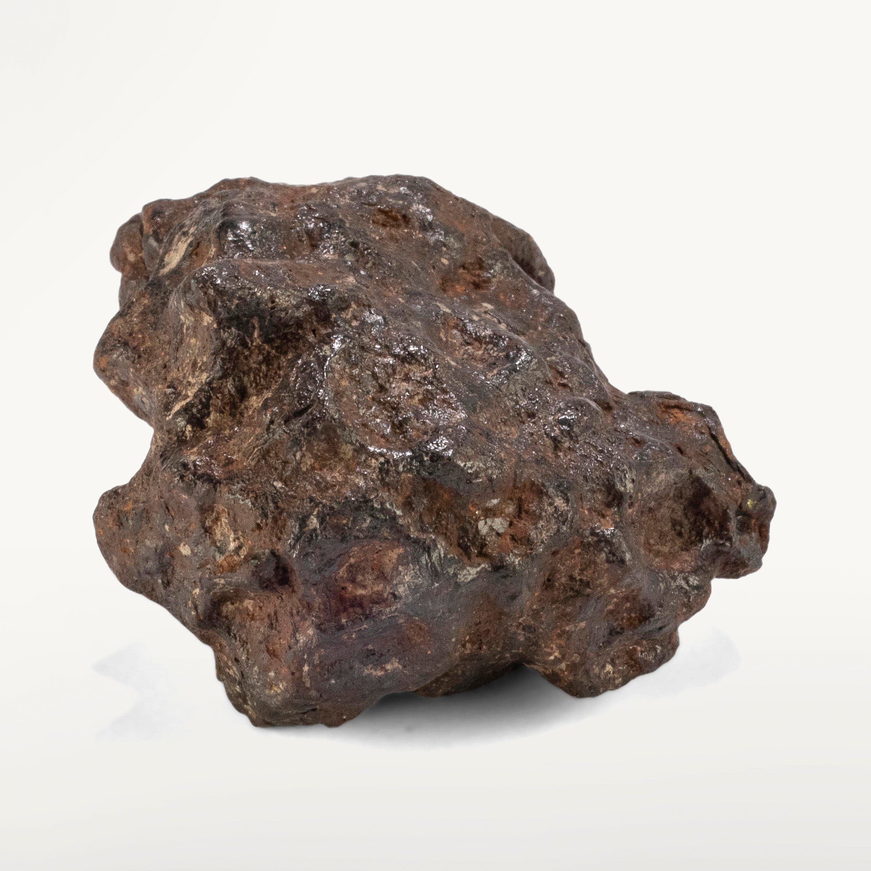 Kalifano Meteorites Sericho Iron Meteorite discovered in Kenya - 107.3 grams MTCHO2000.002