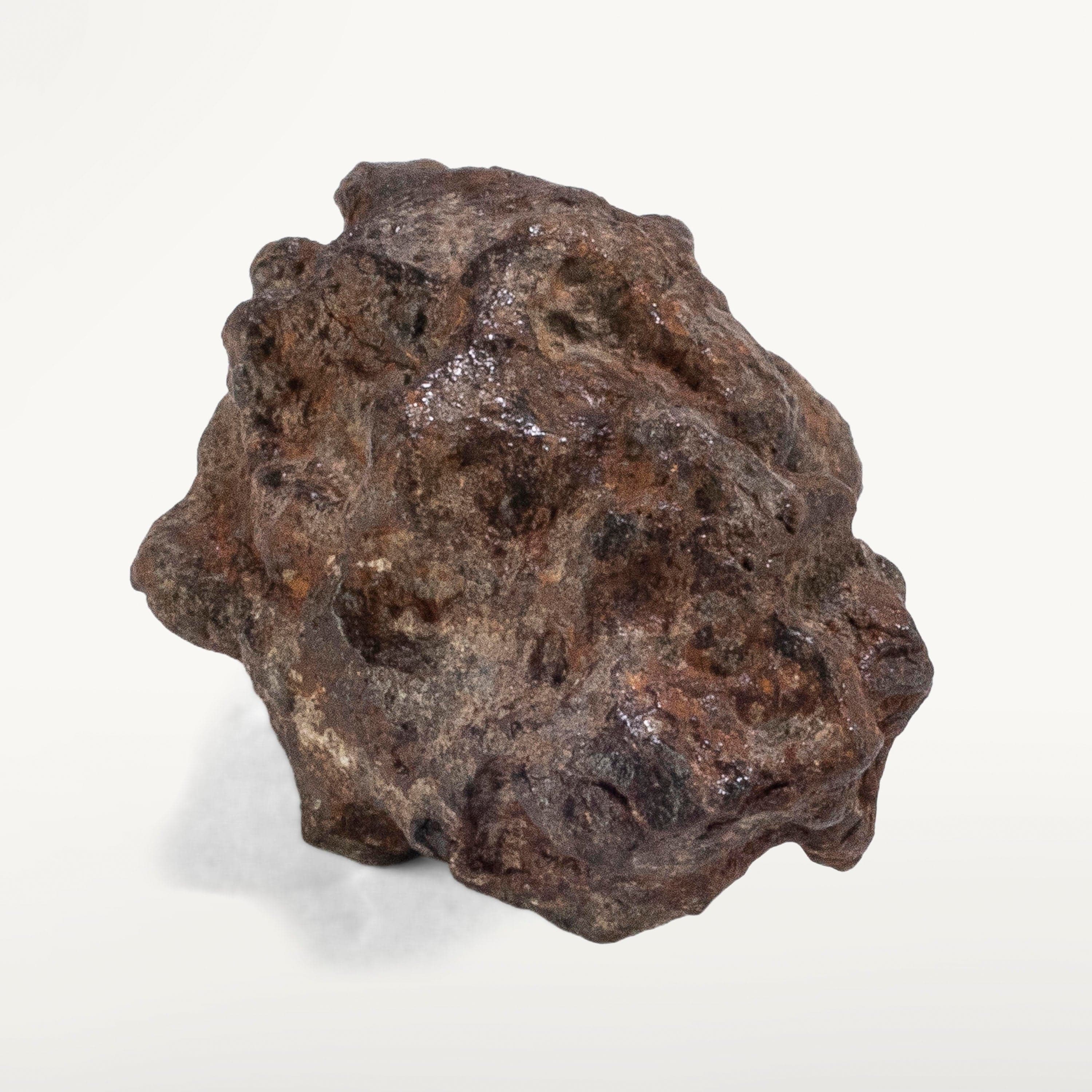 Kalifano Meteorites Sericho Iron Meteorite discovered in Kenya - 31 grams MTCHO600