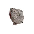 Seymchan Pallasite Stony-iron Meteorite from Russia 2.5