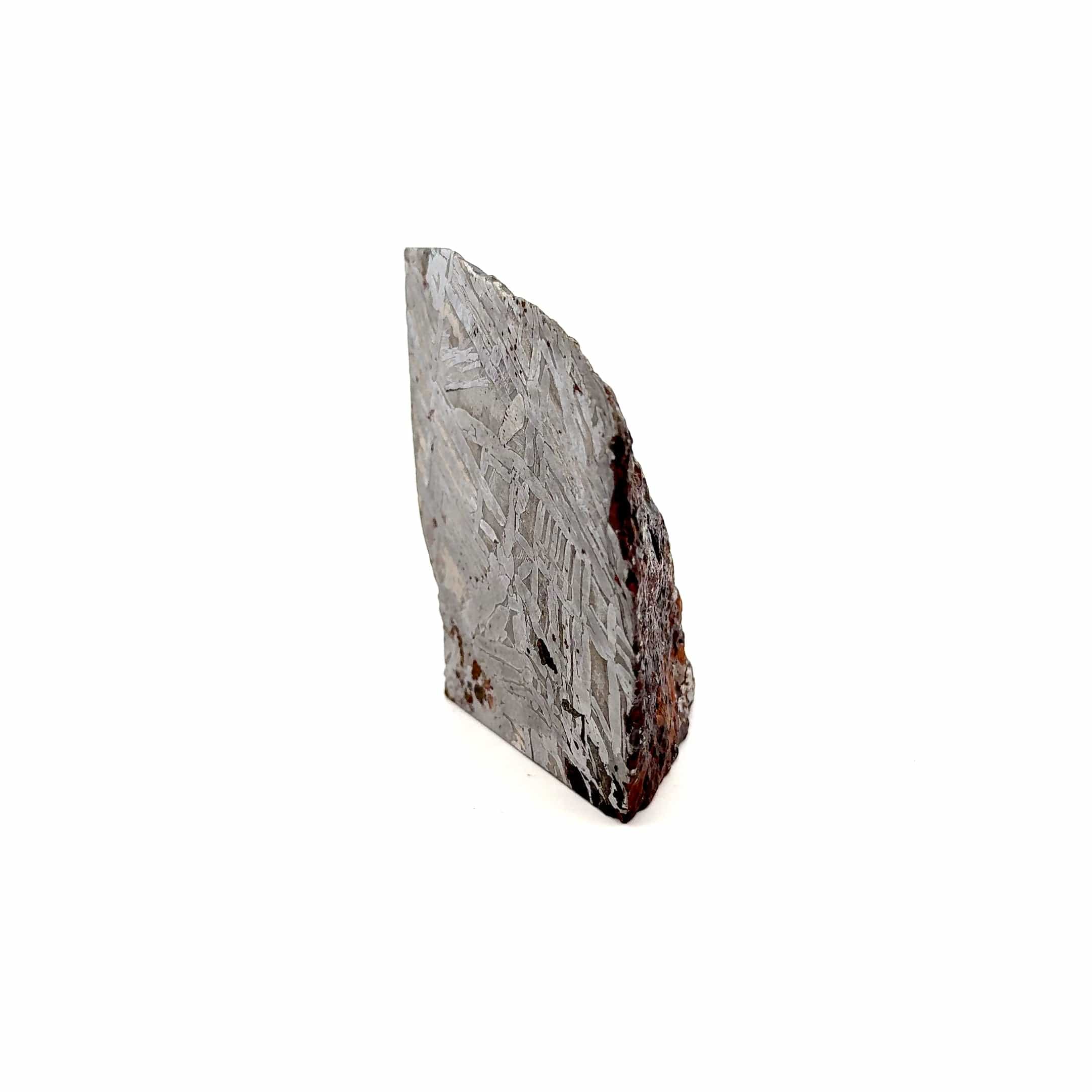 Kalifano Meteorites Seymchan Pallasite Stony-iron Meteorite from Russia 2.5" / 486 grams MTS19200.001
