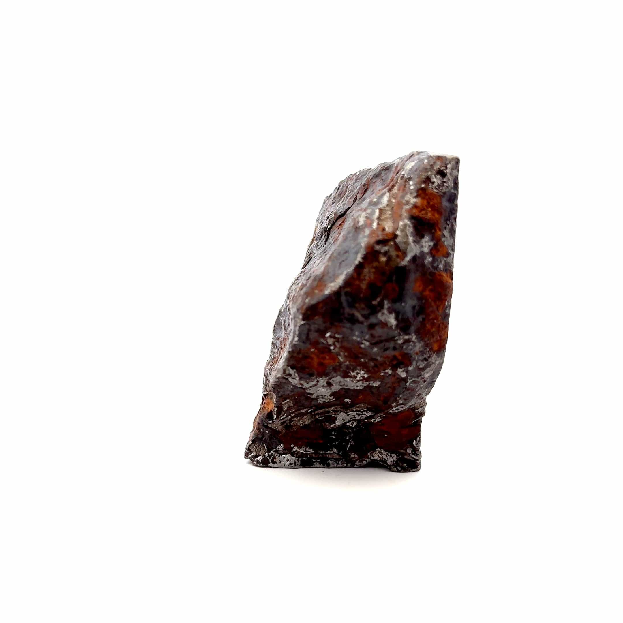 Kalifano Meteorites Seymchan Pallasite Stony-iron Meteorite from Russia 2.5" / 486 grams MTS19200.001