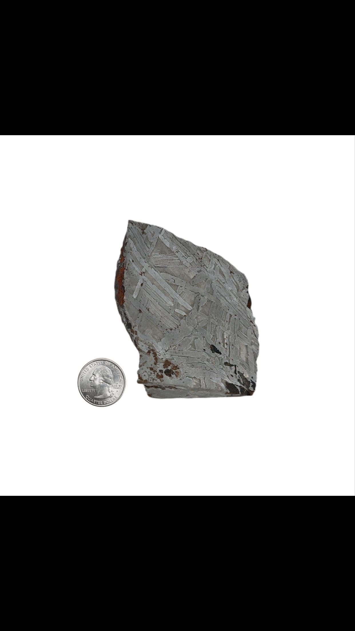 Kalifano Meteorites Seymchan Pallasite Stony-iron Meteorite from Russia 2.5" / 486 grams MTS19200.001