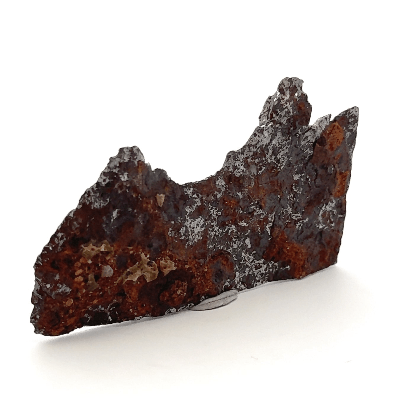 Kalifano Meteorites Seymchan Pallasite Stony-iron Meteorite from Russia 2.75" / 31 grams MTS2000.015