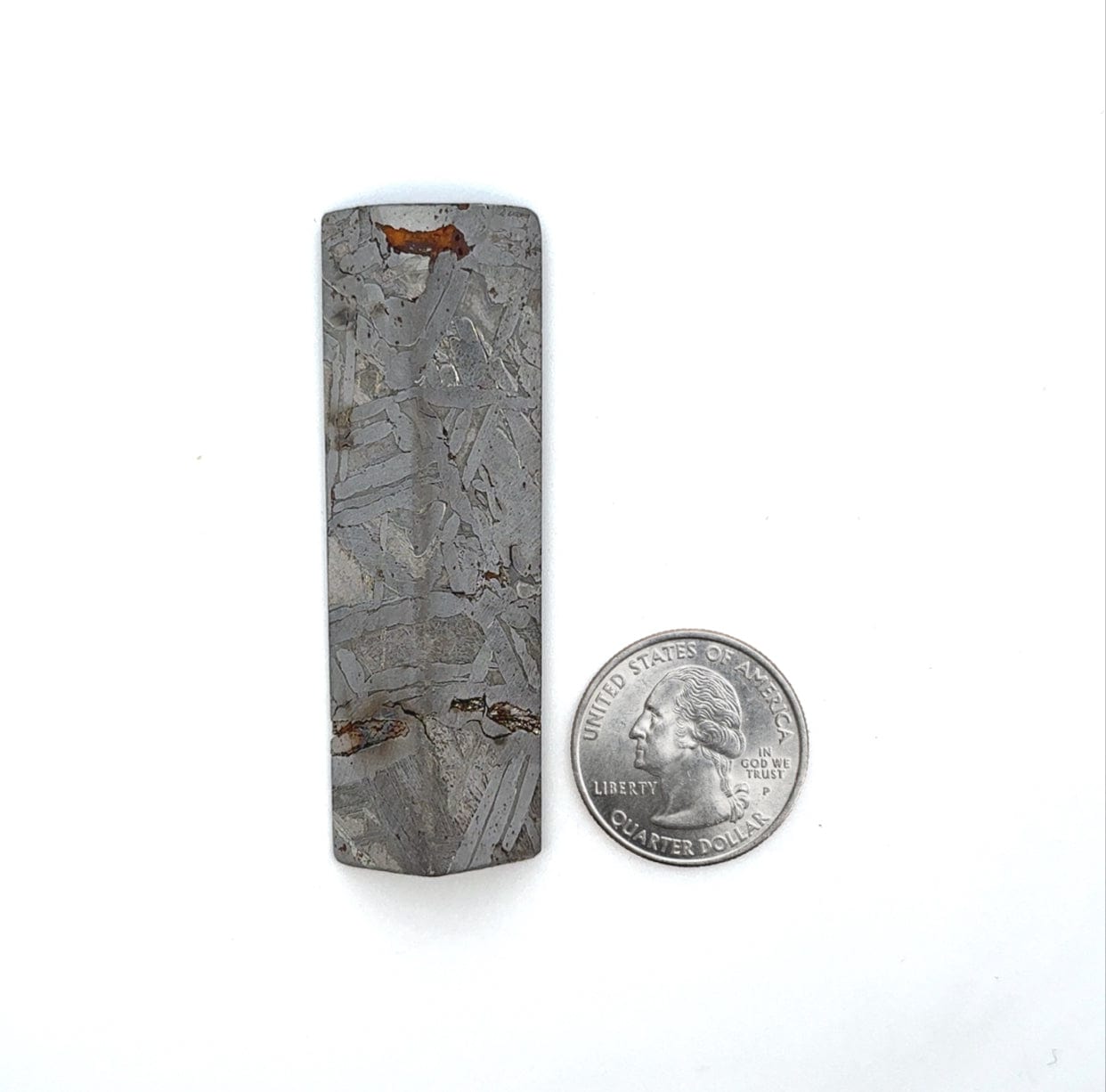 Kalifano Meteorites Seymchan Pallasite Stony-iron Meteorite from Russia 2.75" / 82.4 grams MTS3600.003