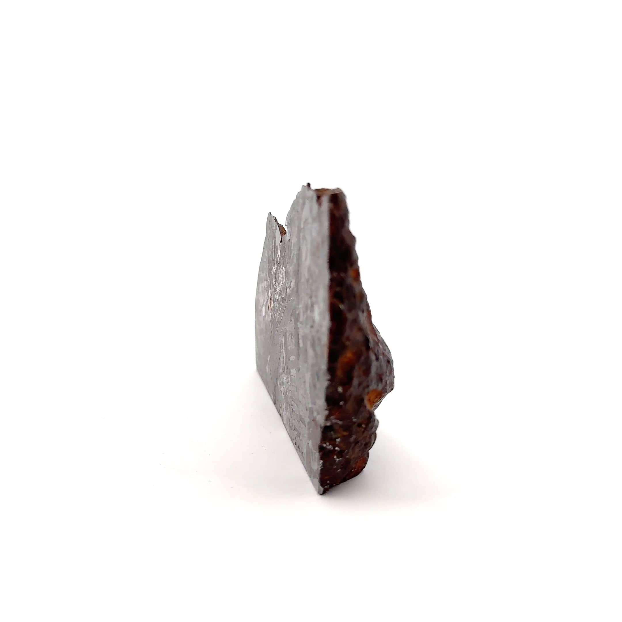 Kalifano Meteorites Seymchan Pallasite Stony-iron Meteorite from Russia 3.5" / 298 grams MTS14400.001