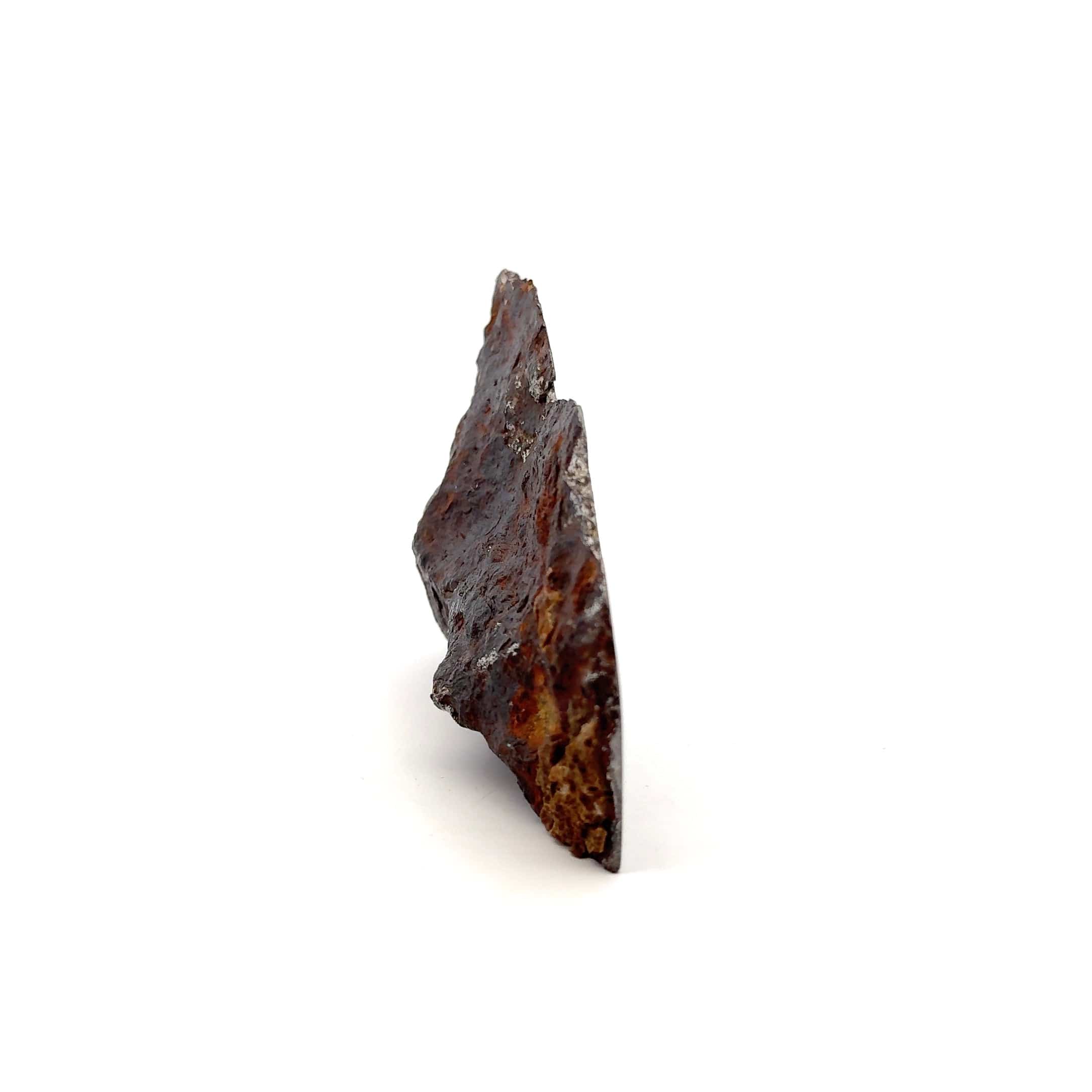 Kalifano Meteorites Seymchan Pallasite Stony-iron Meteorite from Russia 3.5" / 298 grams MTS14400.001