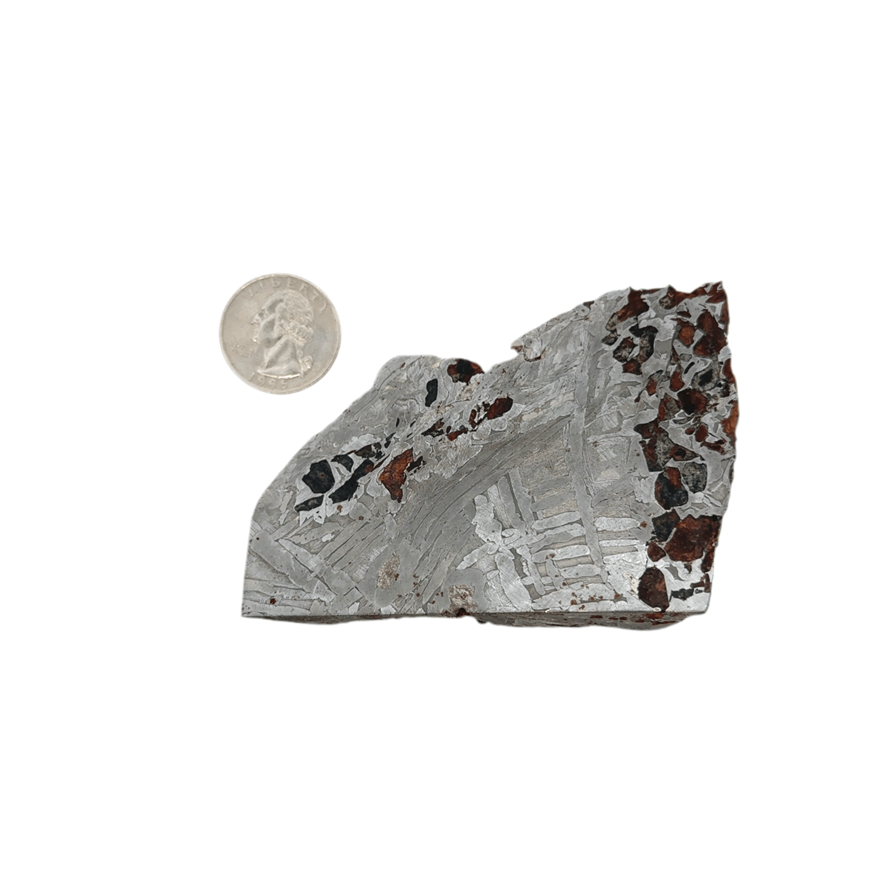Kalifano Meteorites Seymchan Pallasite Stony-iron Meteorite from Russia 3.5" / 298 grams MTS14400.001