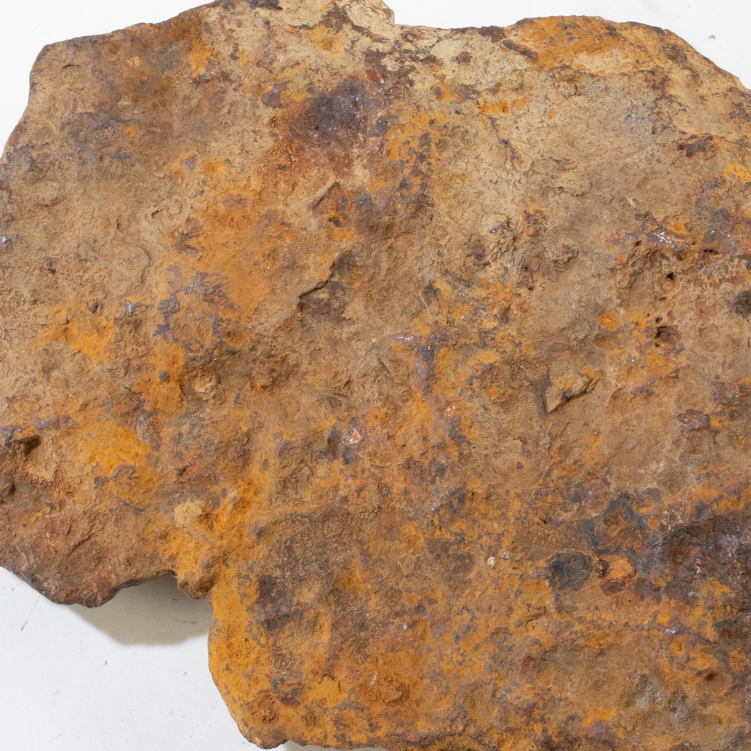 Kalifano Meteorites Seymchan Pallasite Stony-iron Meteorite from Russia 7" / 4,787 grams MTS176000.001