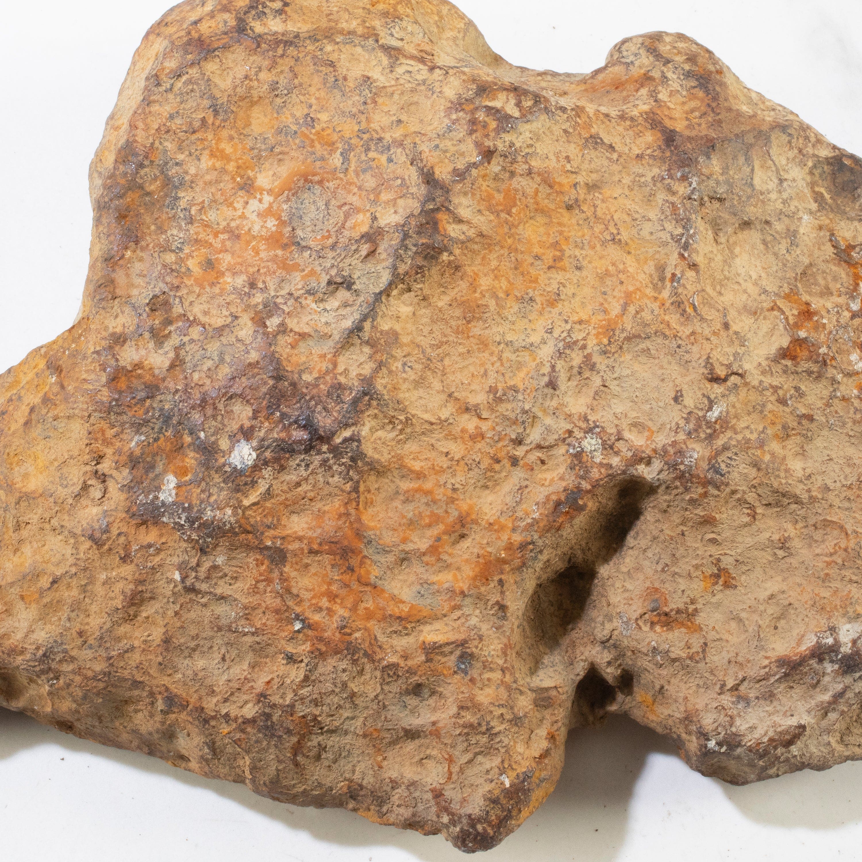 Kalifano Meteorites Seymchan Pallasite Stony-iron Meteorite from Russia 7" / 4,787 grams MTS176000.001