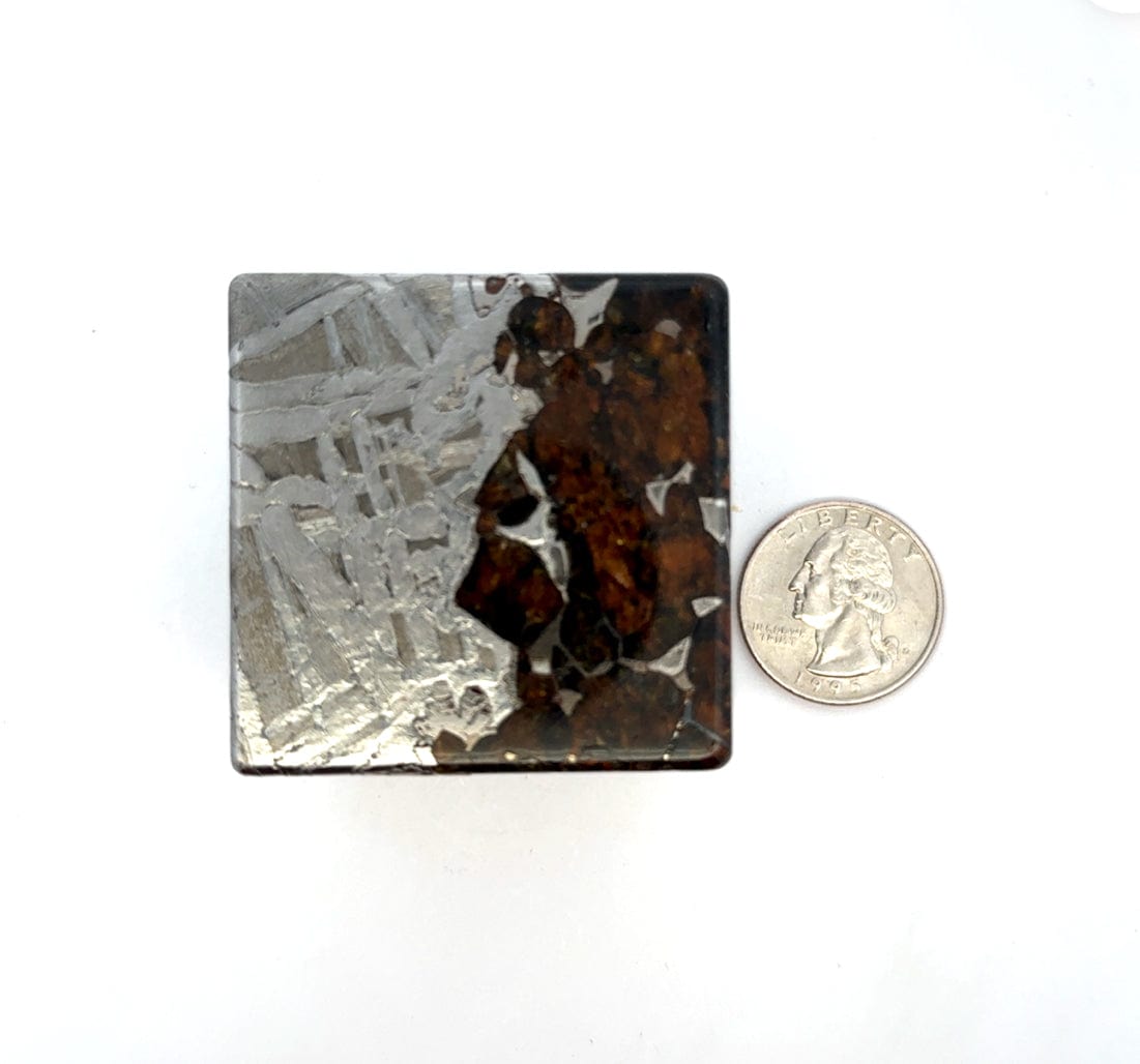 Kalifano Meteorites Seymchan with Pallasite Stony-iron Meteorite from Russia 1.75" / 734 grams MTS74000.001