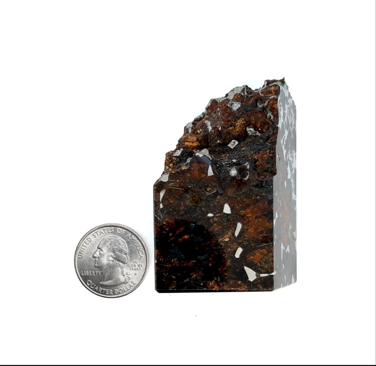 Kalifano Meteorites Seymchan with Pallasite Stony-iron Meteorite from Russia 2.25" / 217 grams MTS22400.001