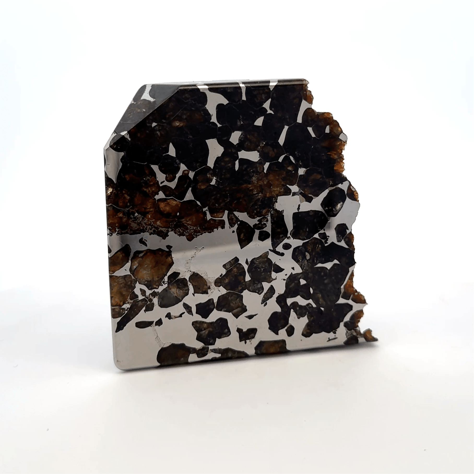 Kalifano Meteorites Seymchan with Pallasite Stony-iron Meteorite from Russia 2.75" / 269 grams MTS26000.001