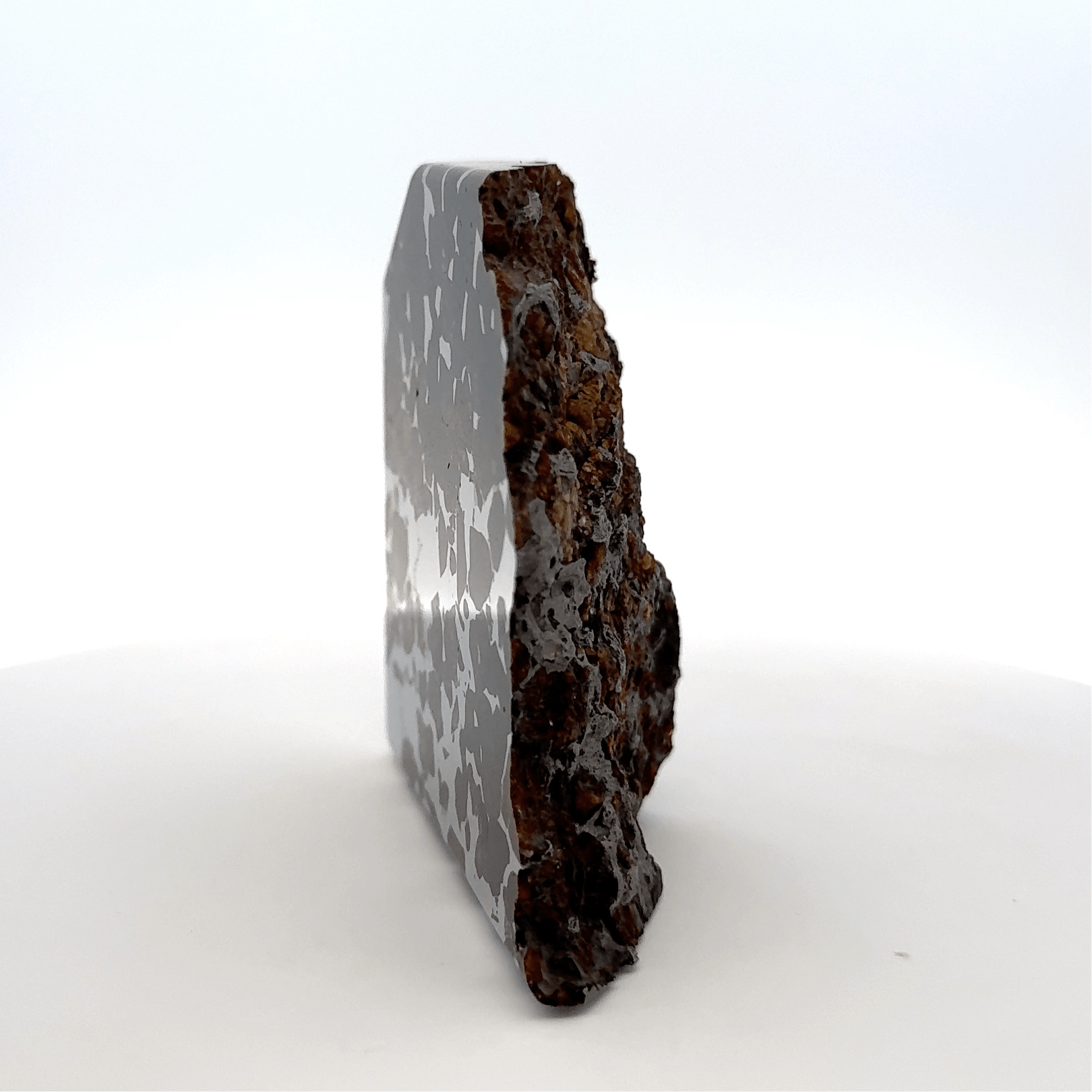 Kalifano Meteorites Seymchan with Pallasite Stony-iron Meteorite from Russia 2.75" / 269 grams MTS26000.001