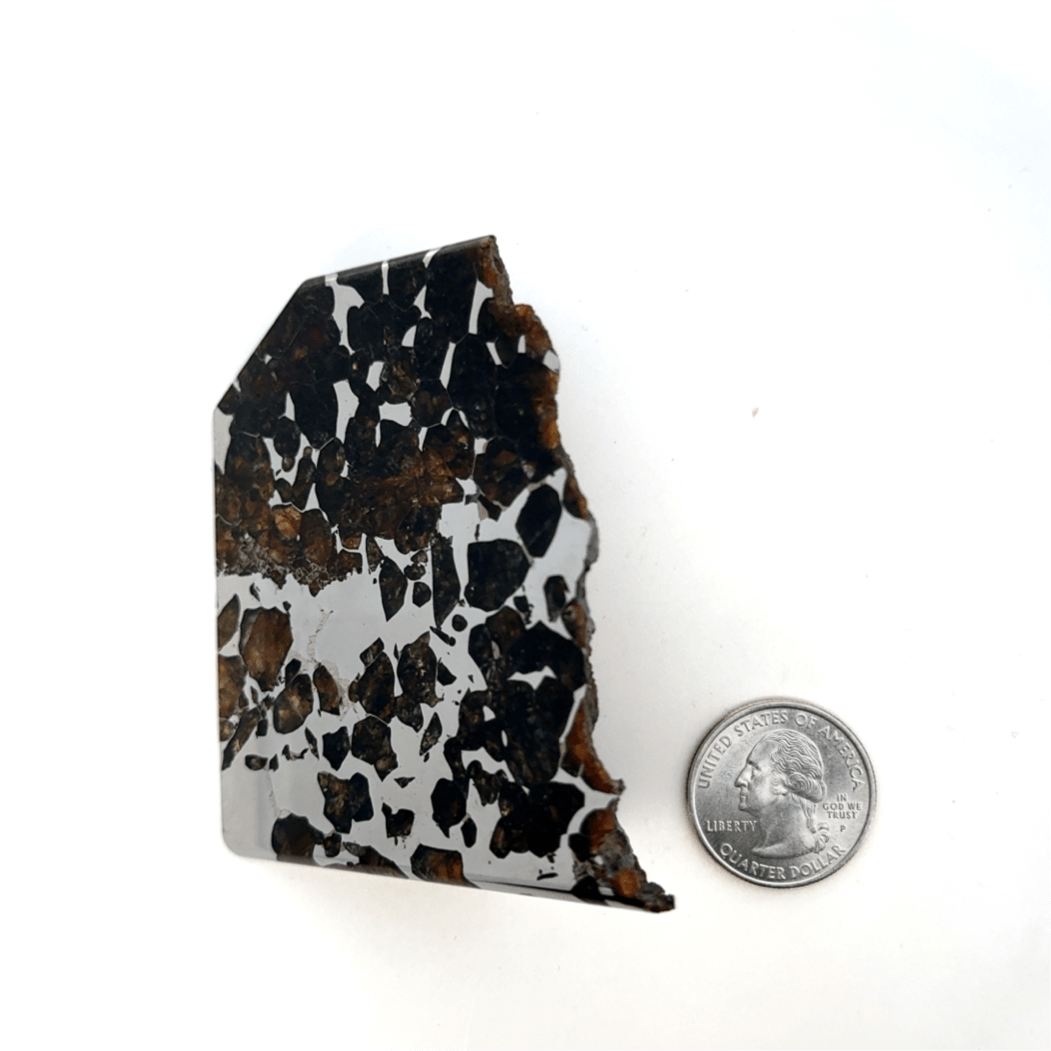 Kalifano Meteorites Seymchan with Pallasite Stony-iron Meteorite from Russia 2.75" / 269 grams MTS26000.001