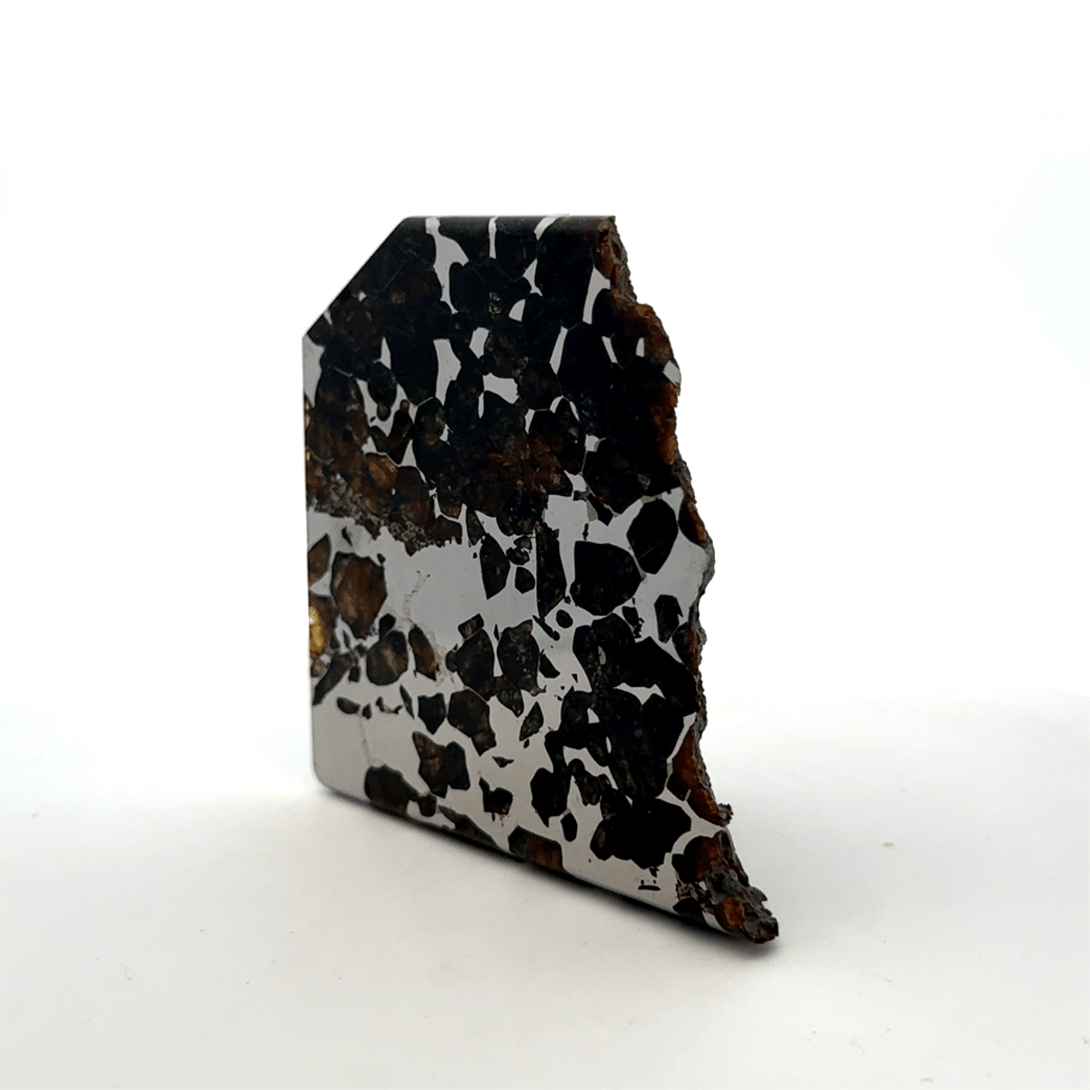 Kalifano Meteorites Seymchan with Pallasite Stony-iron Meteorite from Russia 2.75" / 269 grams MTS26000.001