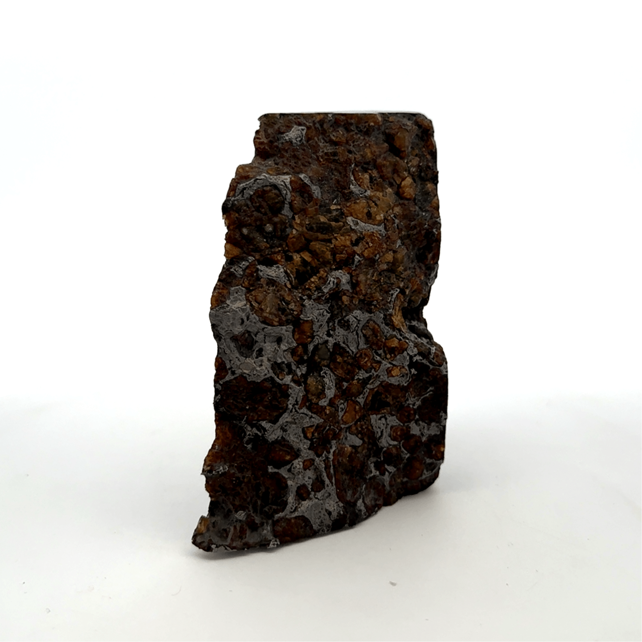 Kalifano Meteorites Seymchan with Pallasite Stony-iron Meteorite from Russia 2.75" / 269 grams MTS26000.001