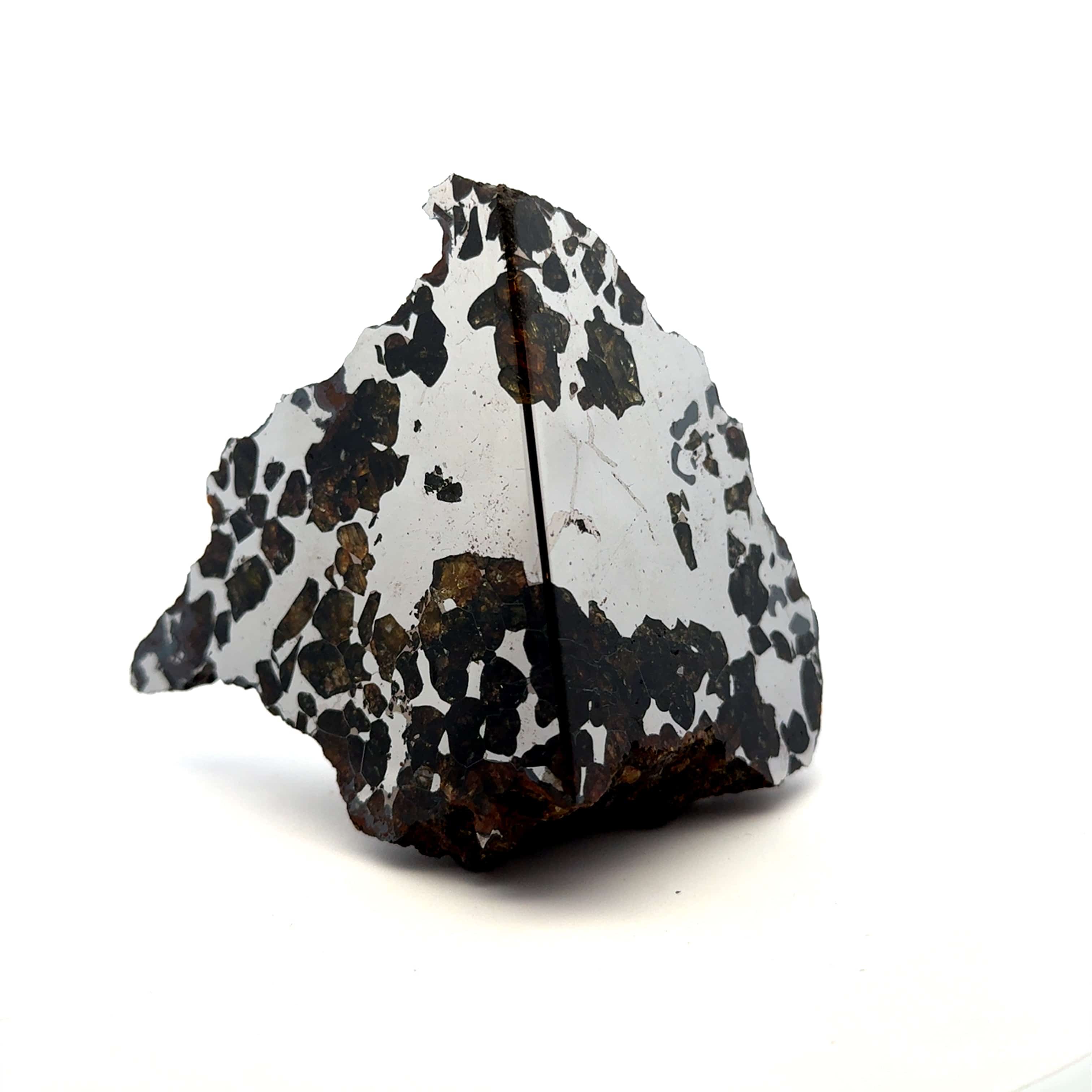 Kalifano Meteorites Seymchan with Pallasite Stony-iron Meteorite from Russia 3.5" / 682 grams MTS64000.001