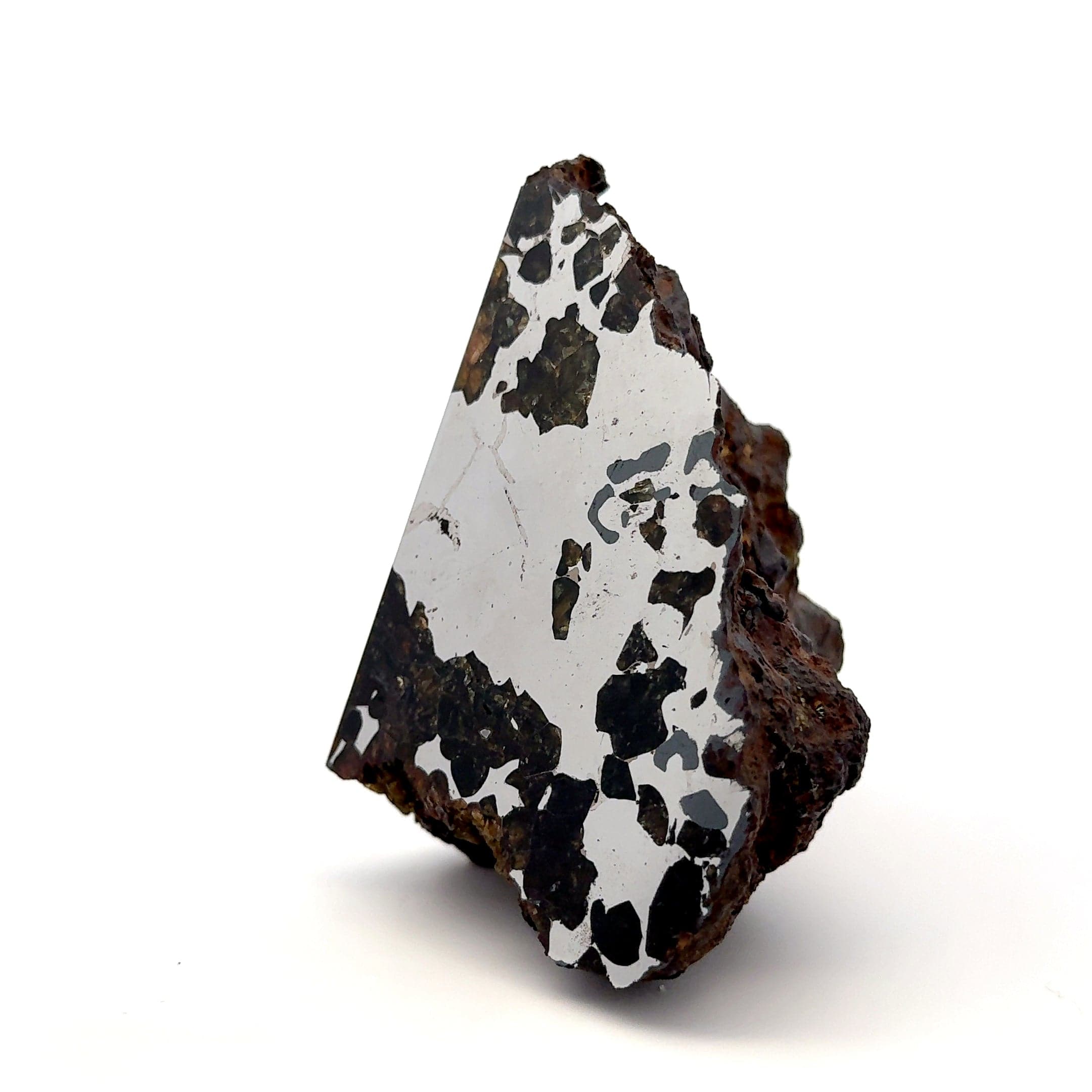 Kalifano Meteorites Seymchan with Pallasite Stony-iron Meteorite from Russia 3.5" / 682 grams MTS64000.001