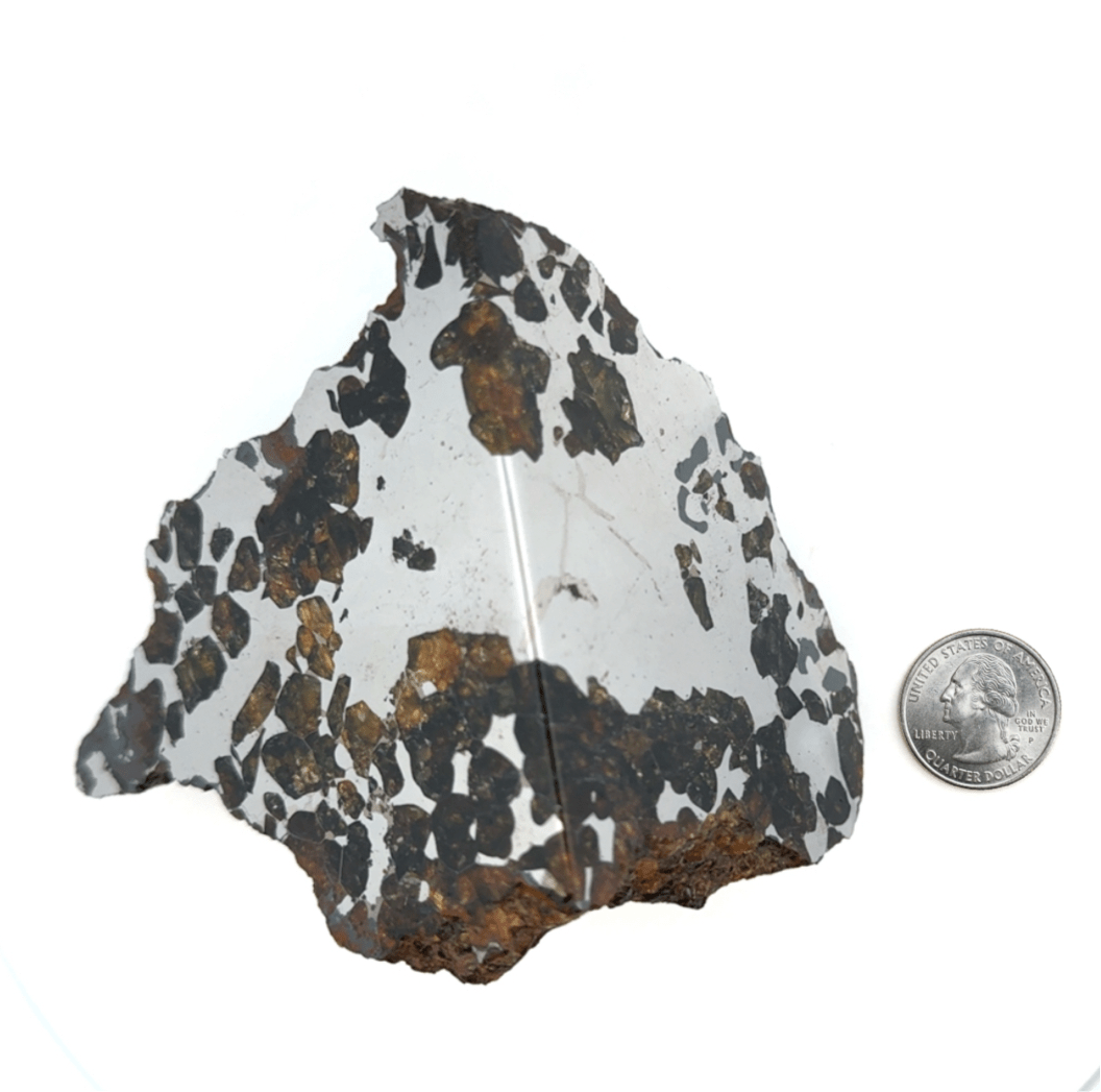 Kalifano Meteorites Seymchan with Pallasite Stony-iron Meteorite from Russia 3.5" / 682 grams MTS64000.001
