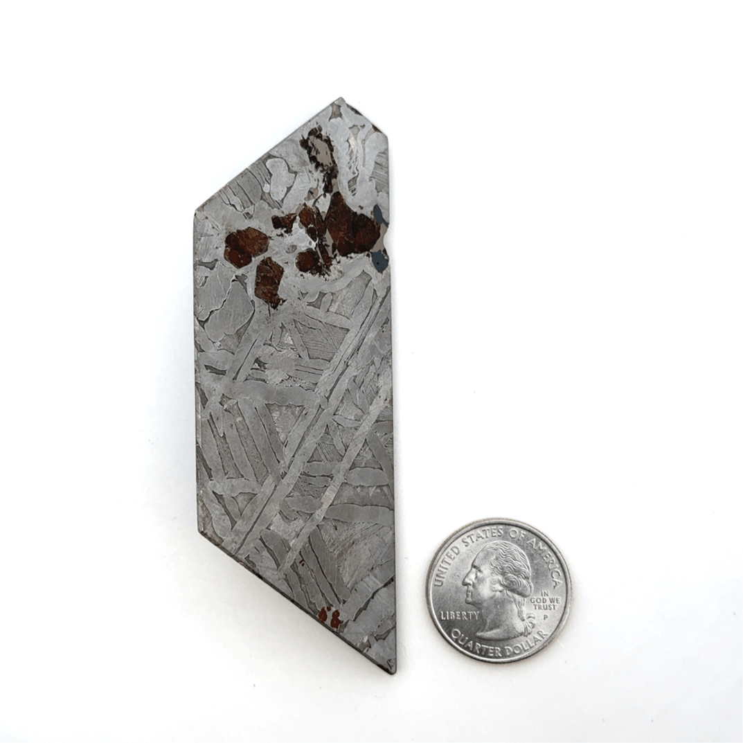 Kalifano Meteorites Seymchan with Pallasite Stony-iron Meteorite from Russia 3.75" / 210 grams MTS11200.001
