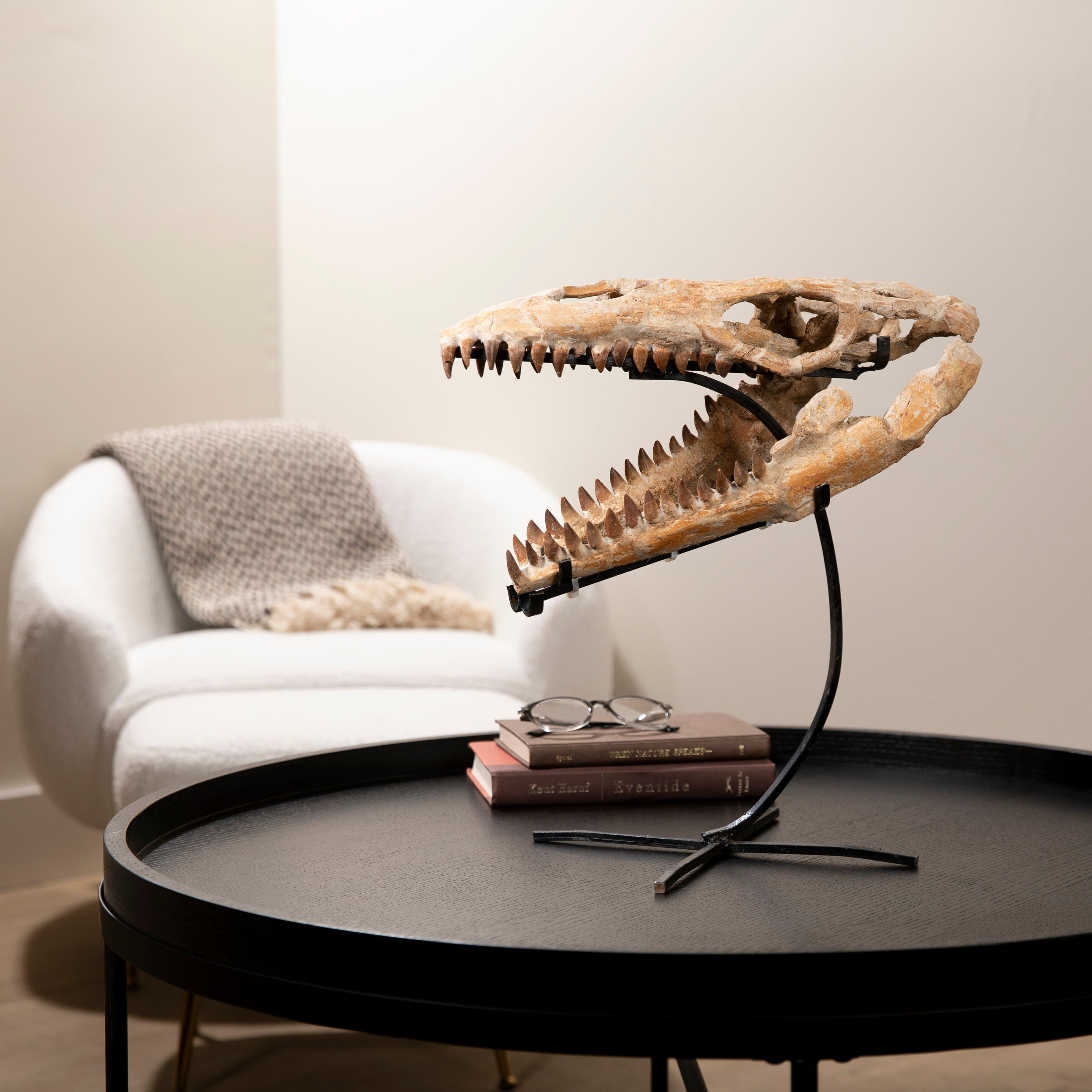 Kalifano Mosasaurus Fossils Moroccan Mosasaurus Jaw Fossil on Custom Stand - 17" MOST30000.001