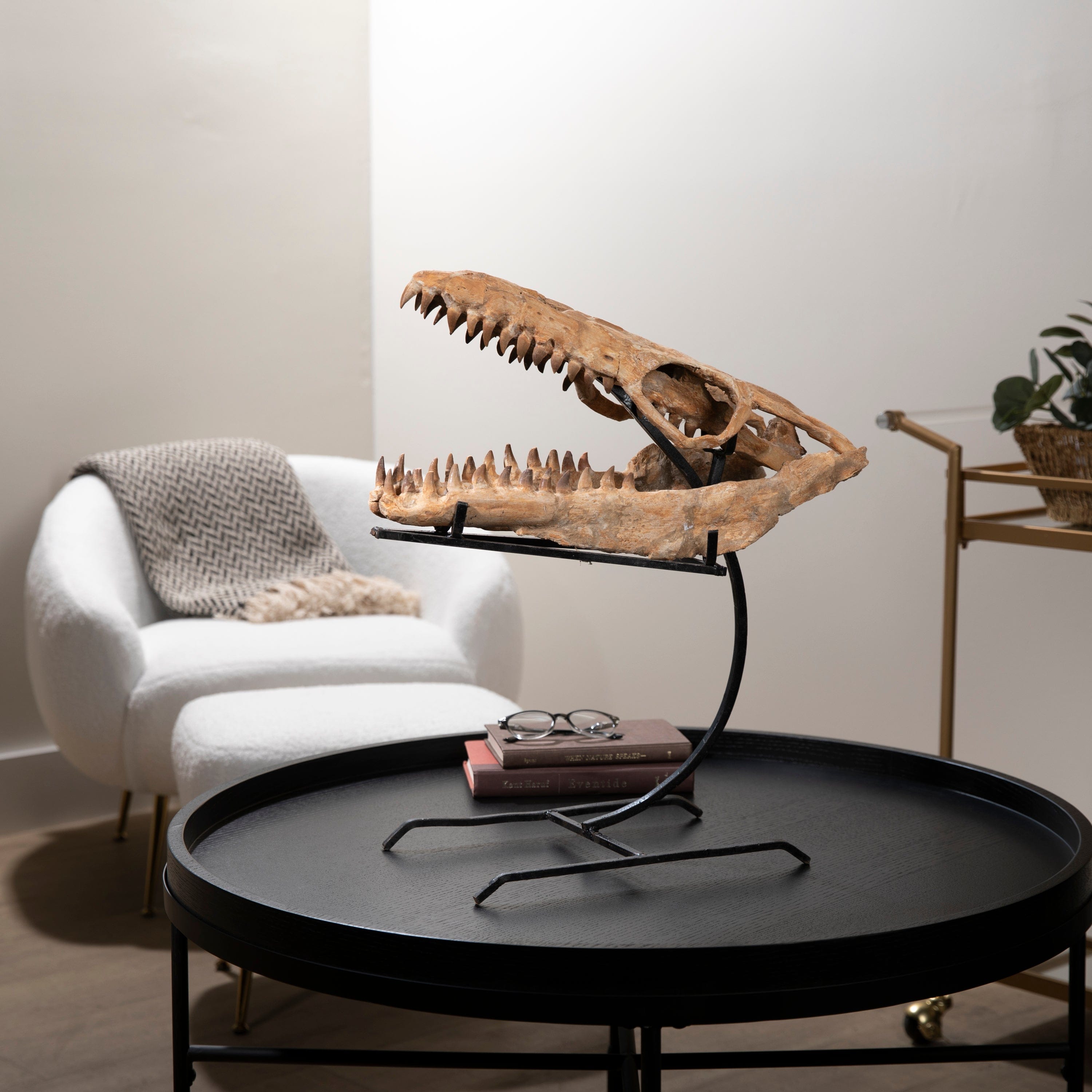 Kalifano Mosasaurus Fossils Moroccan Mosasaurus Jaw Fossil  on Custom Stand - 22" MOST32000.002