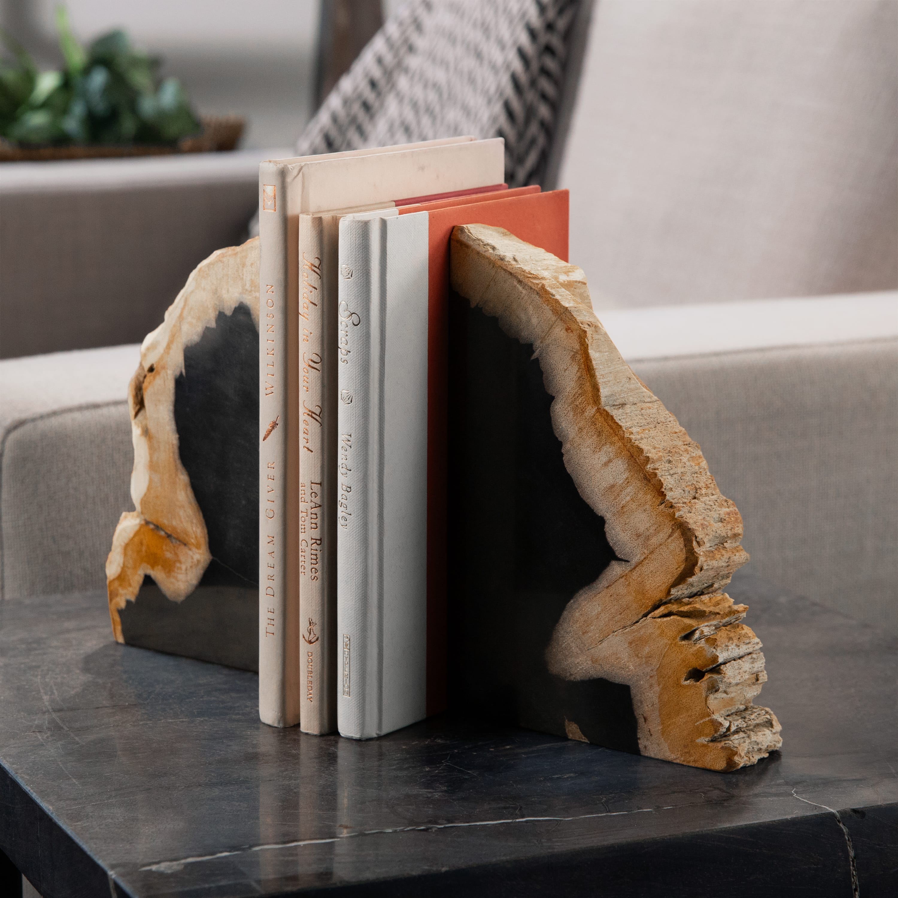 Kalifano Petrified Wood 10" Petrified Wood Bookend Pair PWB250-MIX