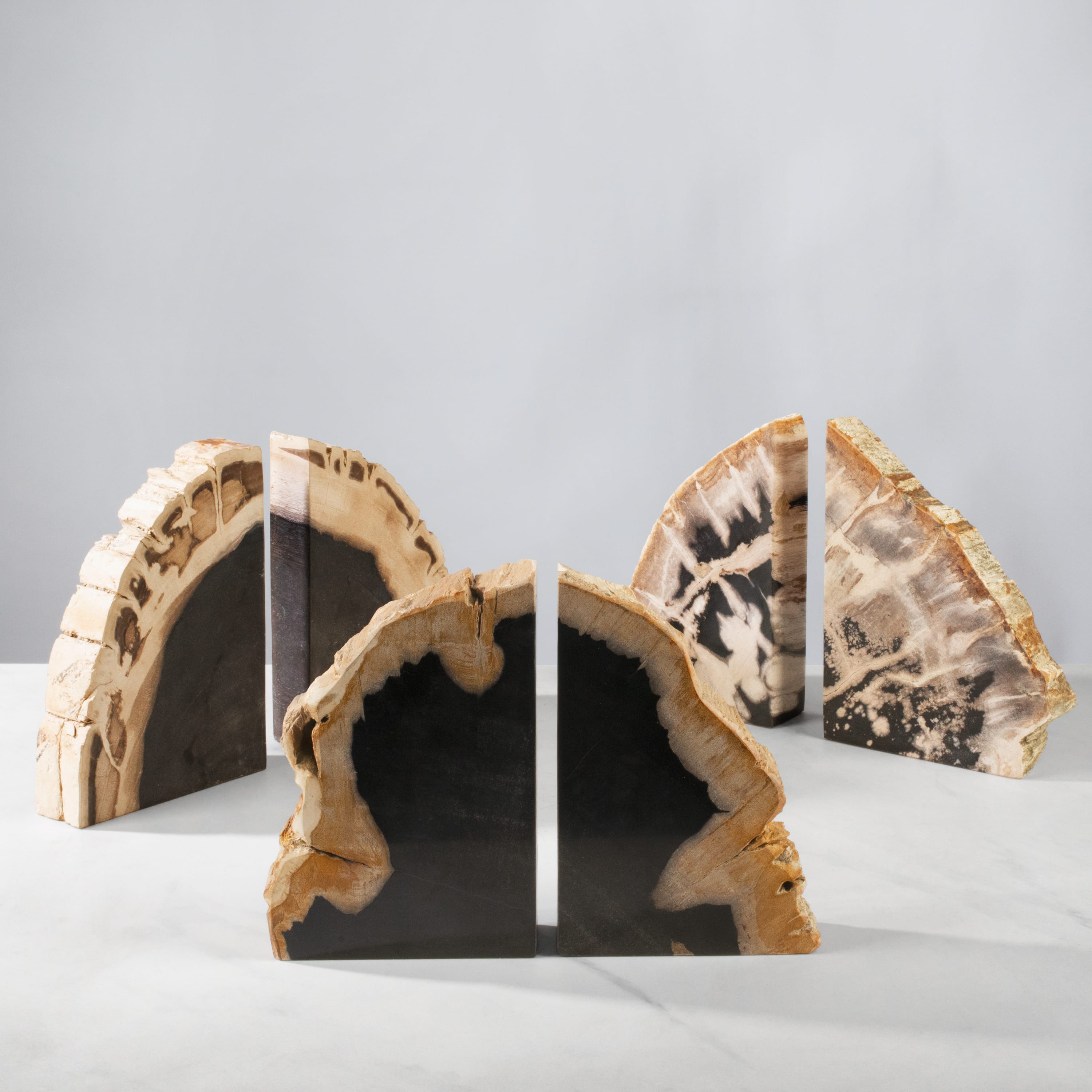 Kalifano Petrified Wood 10" Petrified Wood Bookend Pair PWB250-MIX