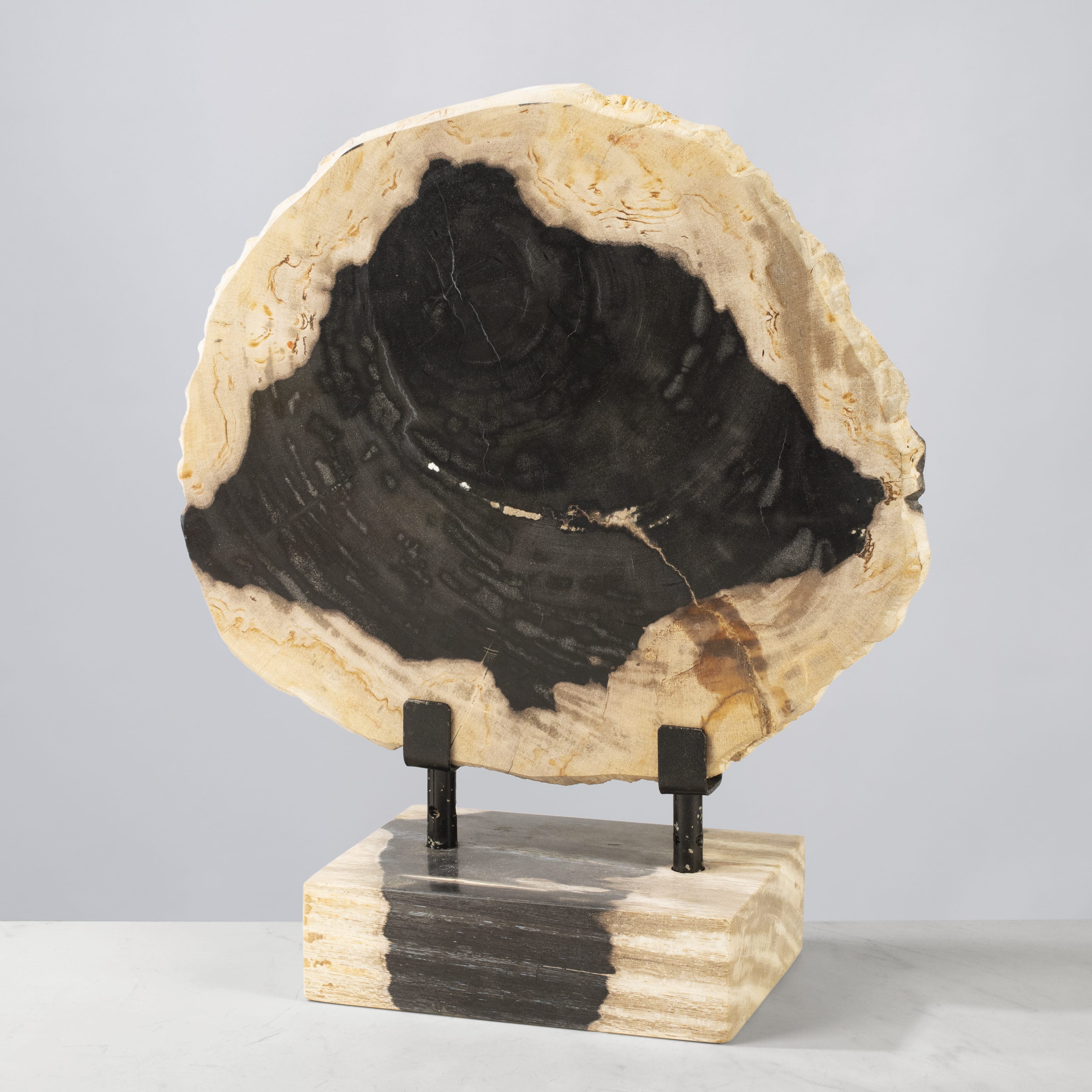 Kalifano Petrified Wood 12" Petrified Wood Slice on Stand PWSS350-MIX