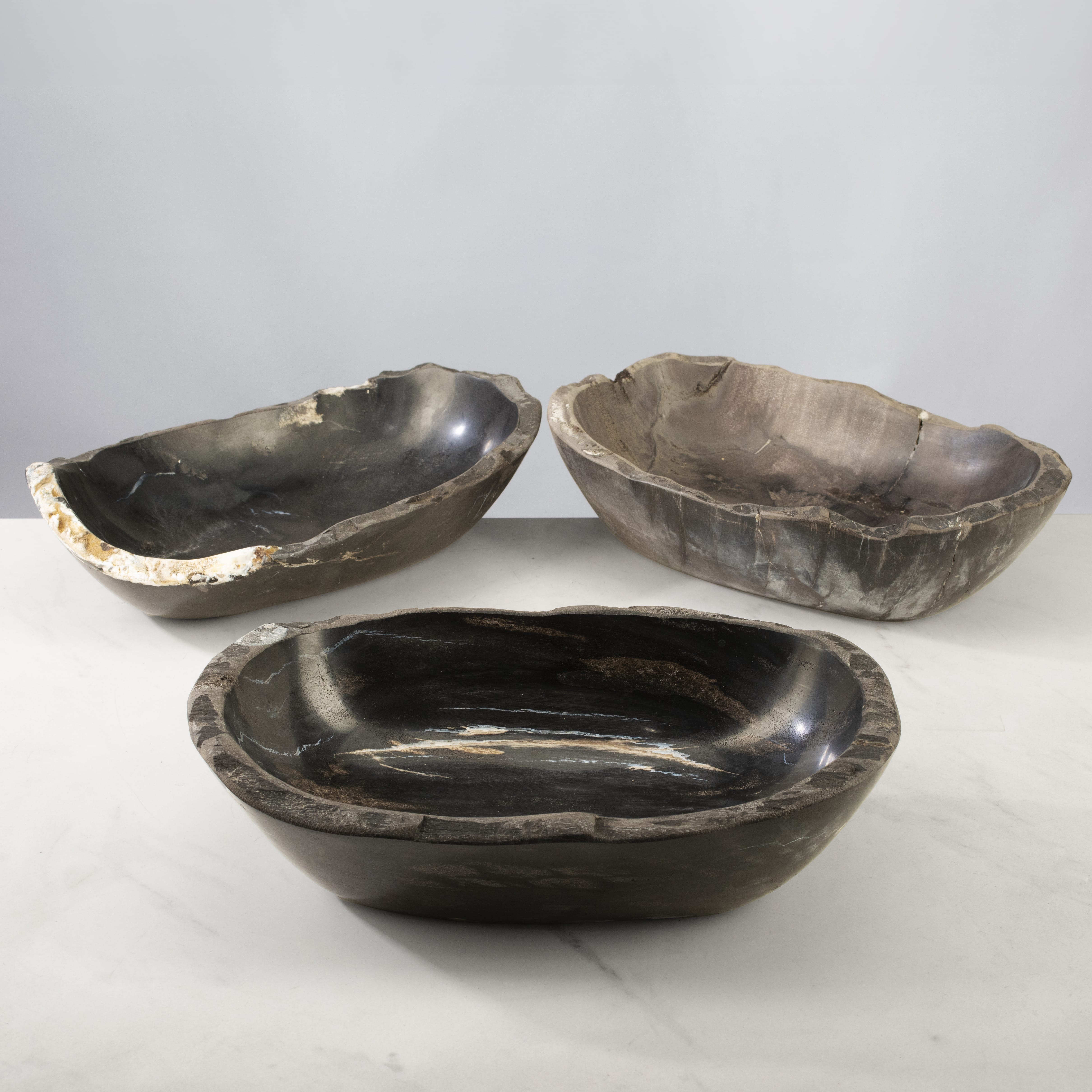 Kalifano Petrified Wood 13" Black Petrified Wood Bowl PWBO700-BK