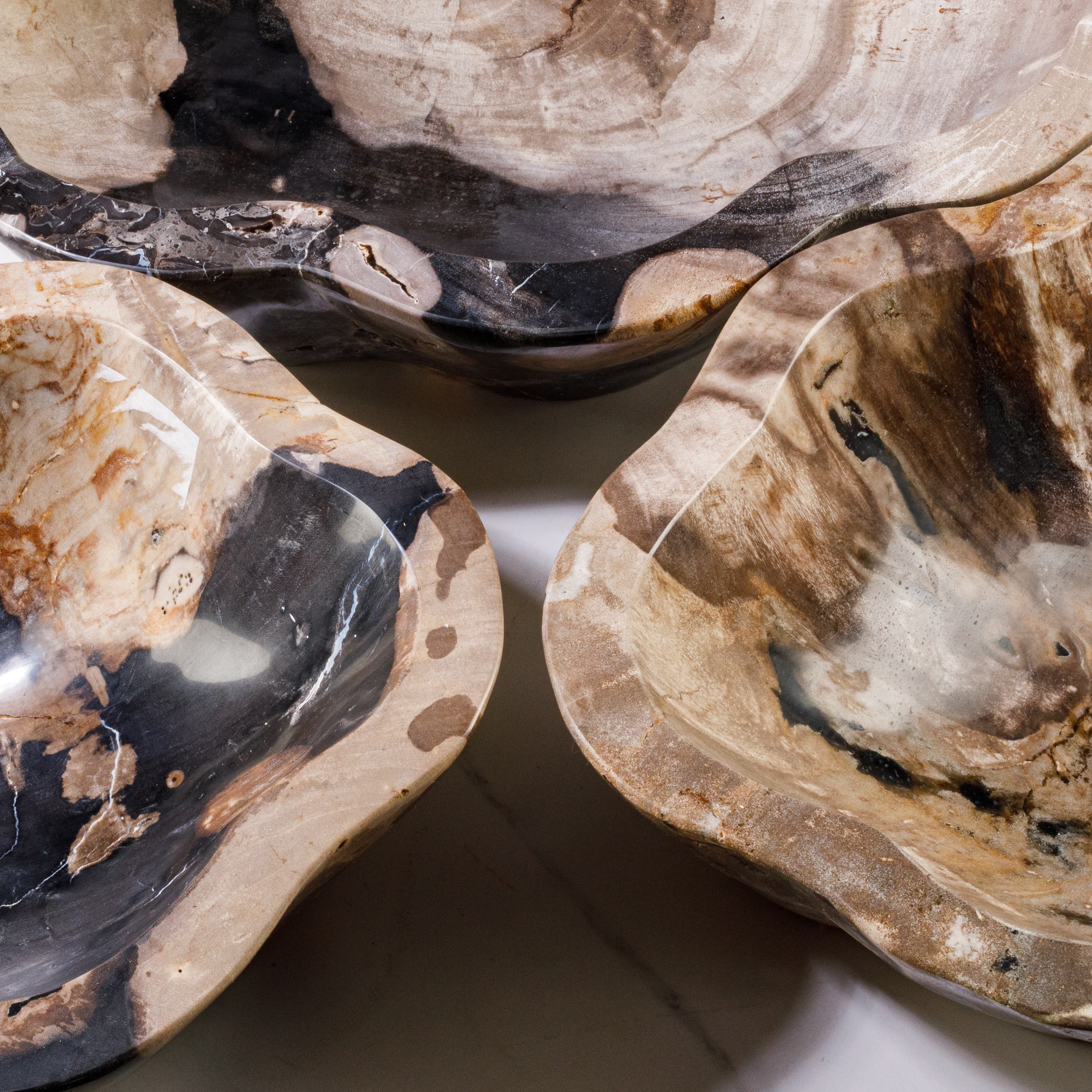 Kalifano Petrified Wood 24" Petrified Wood Flower Bowl PWBO3500-MIX