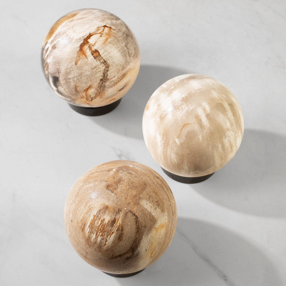 Kalifano Petrified Wood 5" Brown Petrified Wood Sphere PWSP200-BN