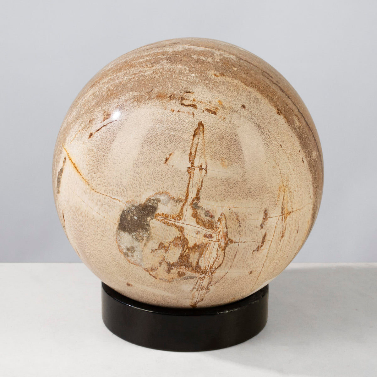 Kalifano Petrified Wood 5" Brown Petrified Wood Sphere PWSP200-BN