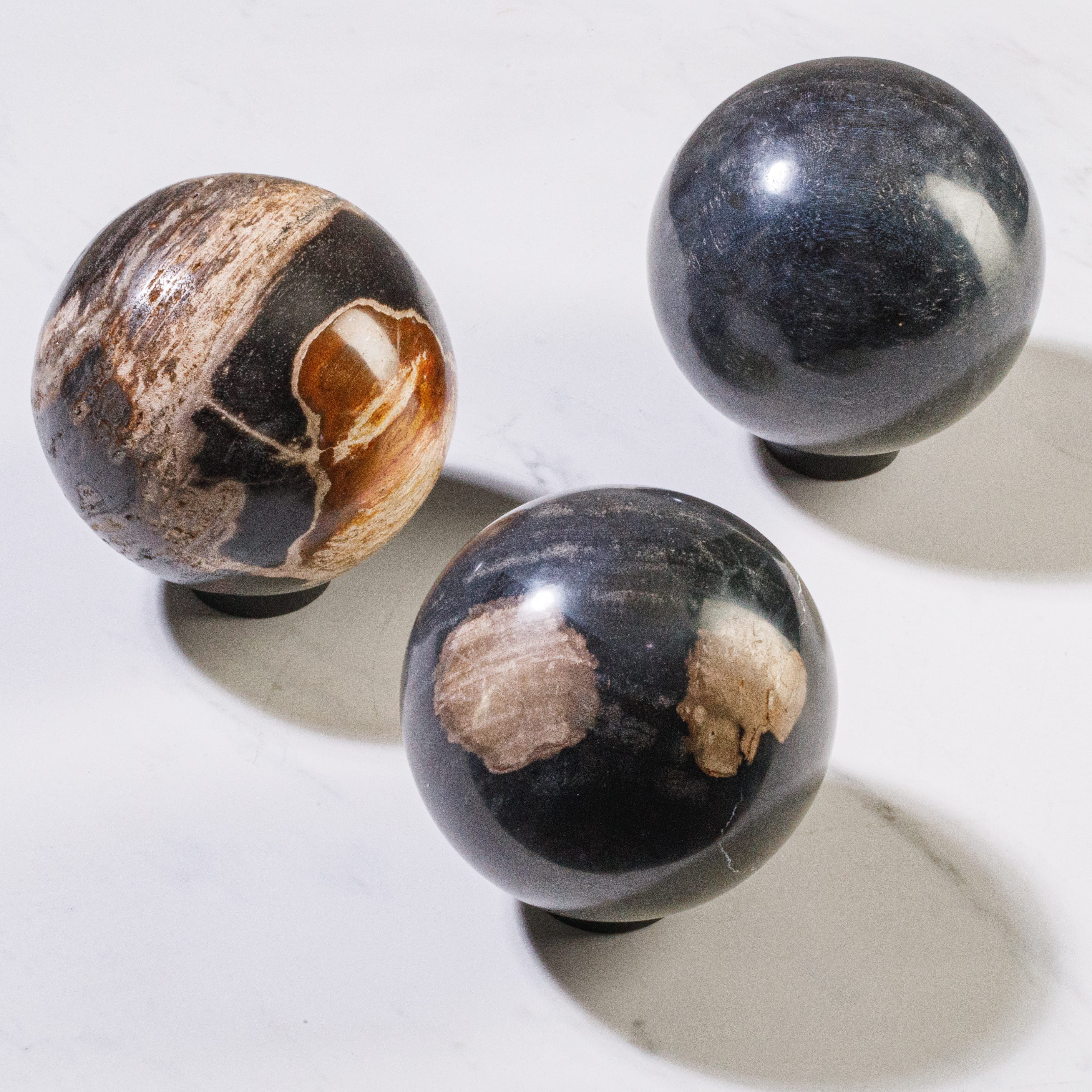 Kalifano Petrified Wood 5" Petrified Wood Sphere PWSP200-MIX