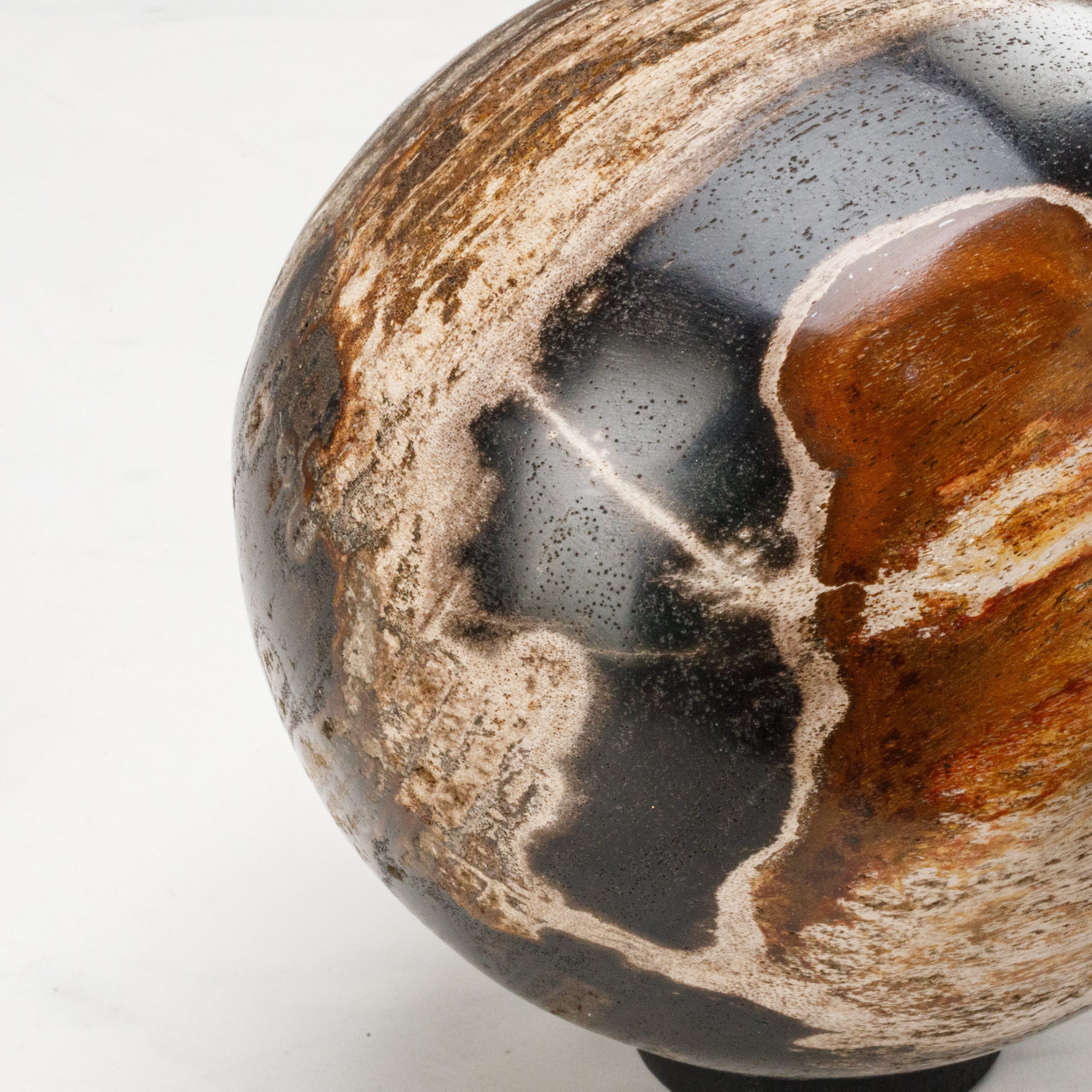 Kalifano Petrified Wood 5" Petrified Wood Sphere PWSP200-MIX